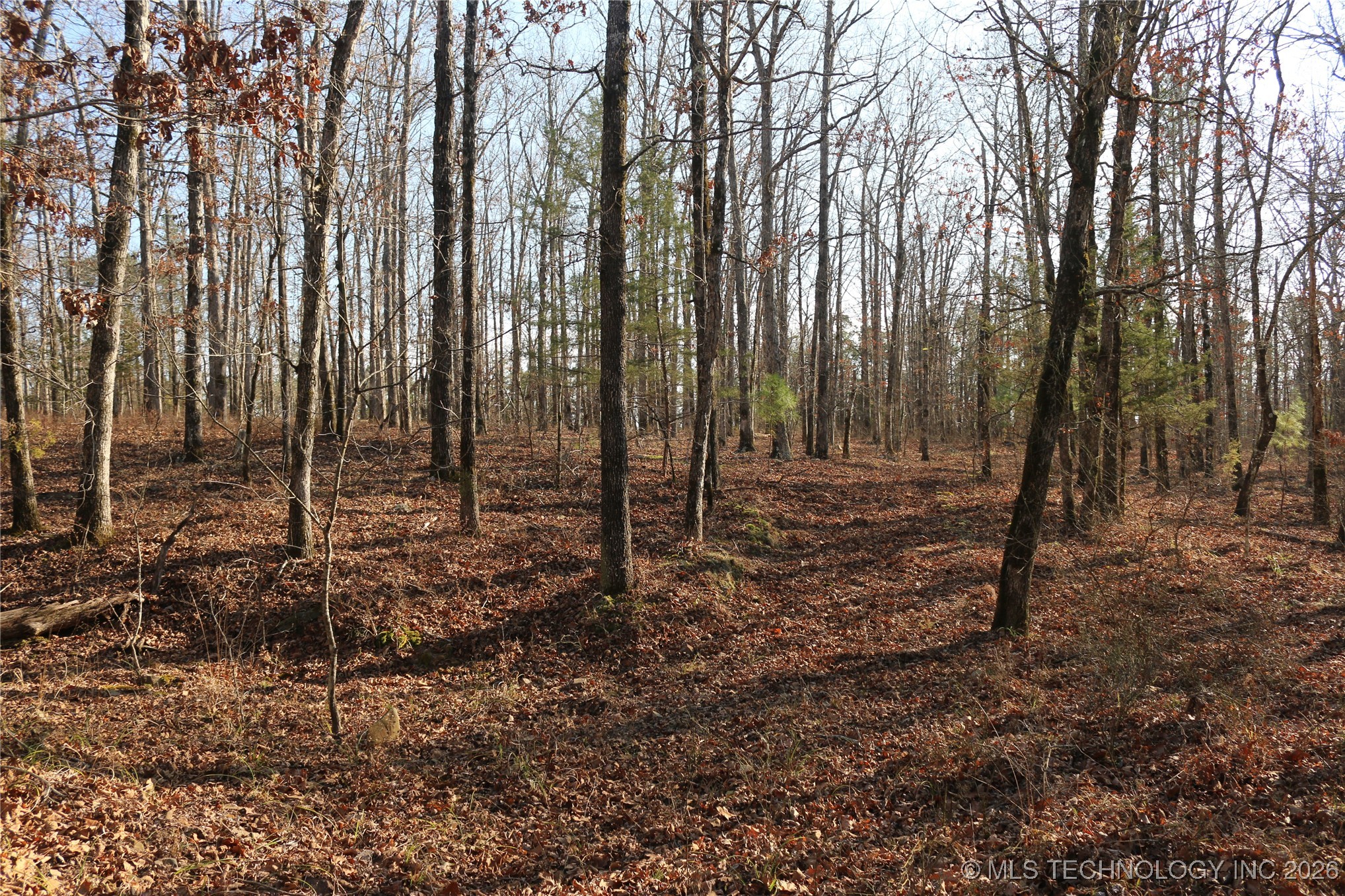 Marsh Loop Loop Property Photo 16