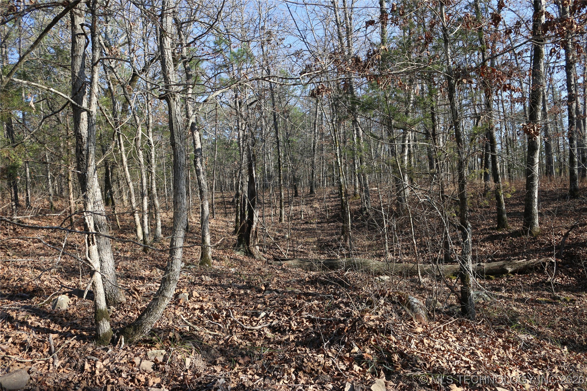 Marsh Loop Loop Property Photo 17