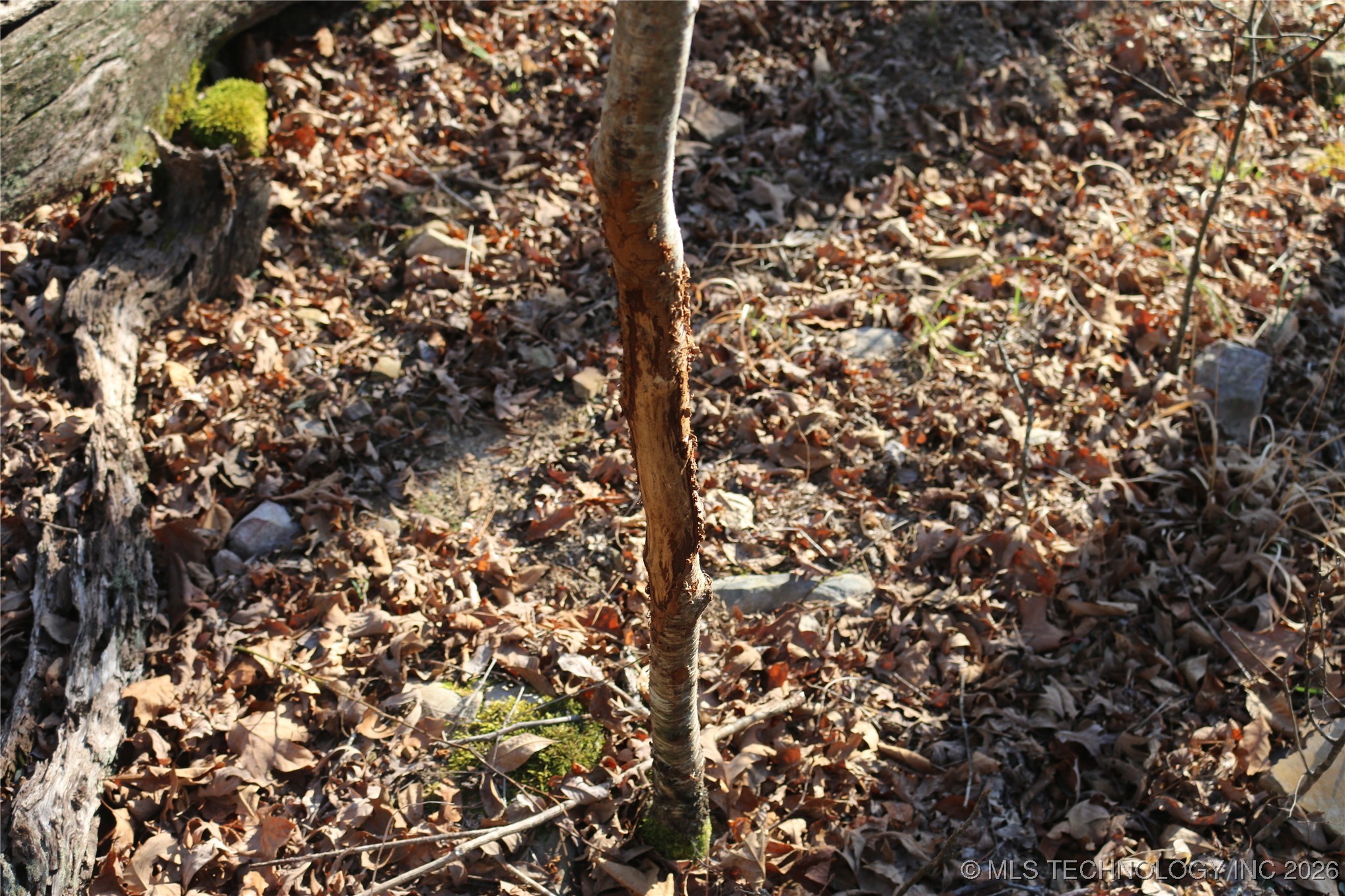 Marsh Loop Loop Property Photo 18