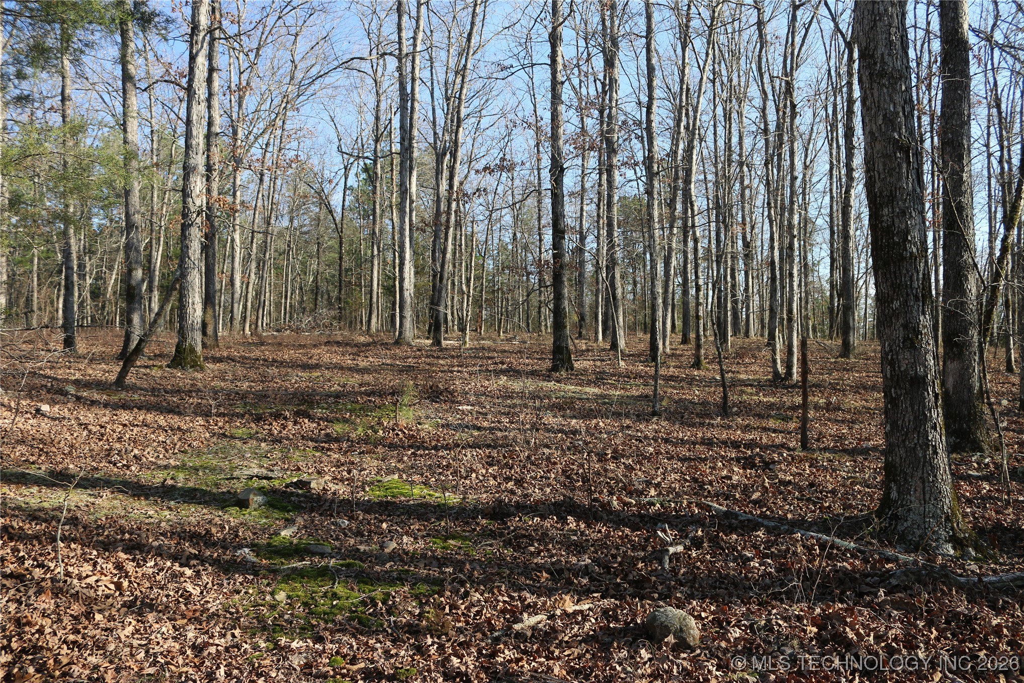 Marsh Loop Loop Property Photo 19