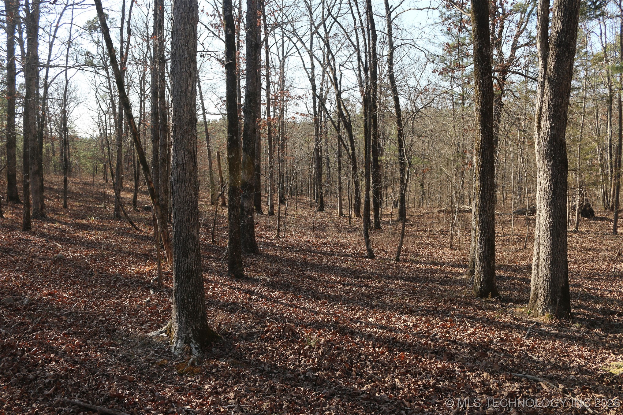 Marsh Loop Loop Property Photo 20