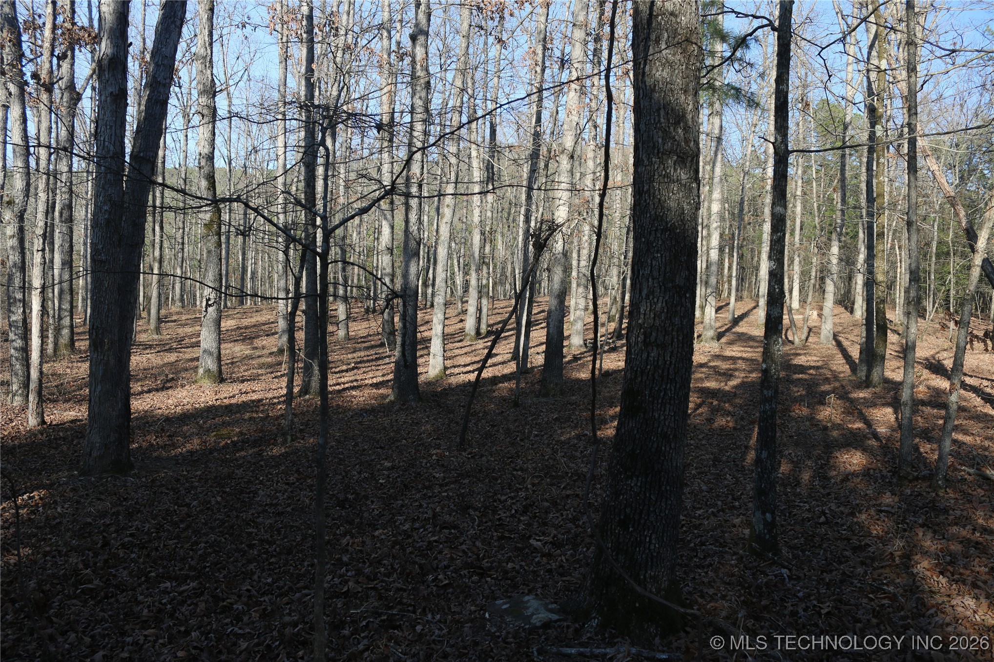 Marsh Loop Loop Property Photo 21