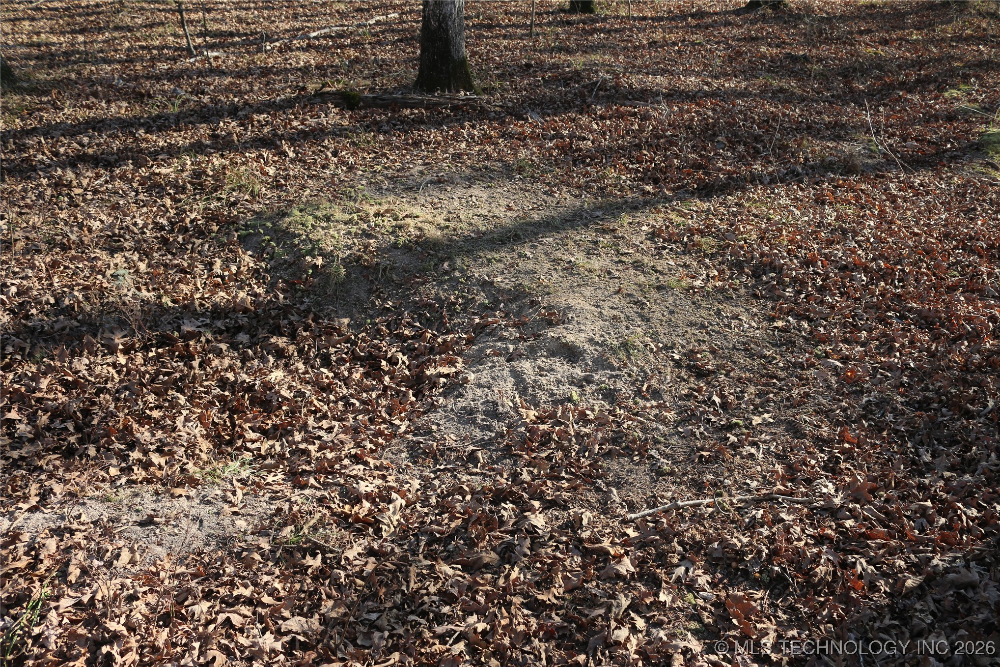 Marsh Loop Loop Property Photo 22