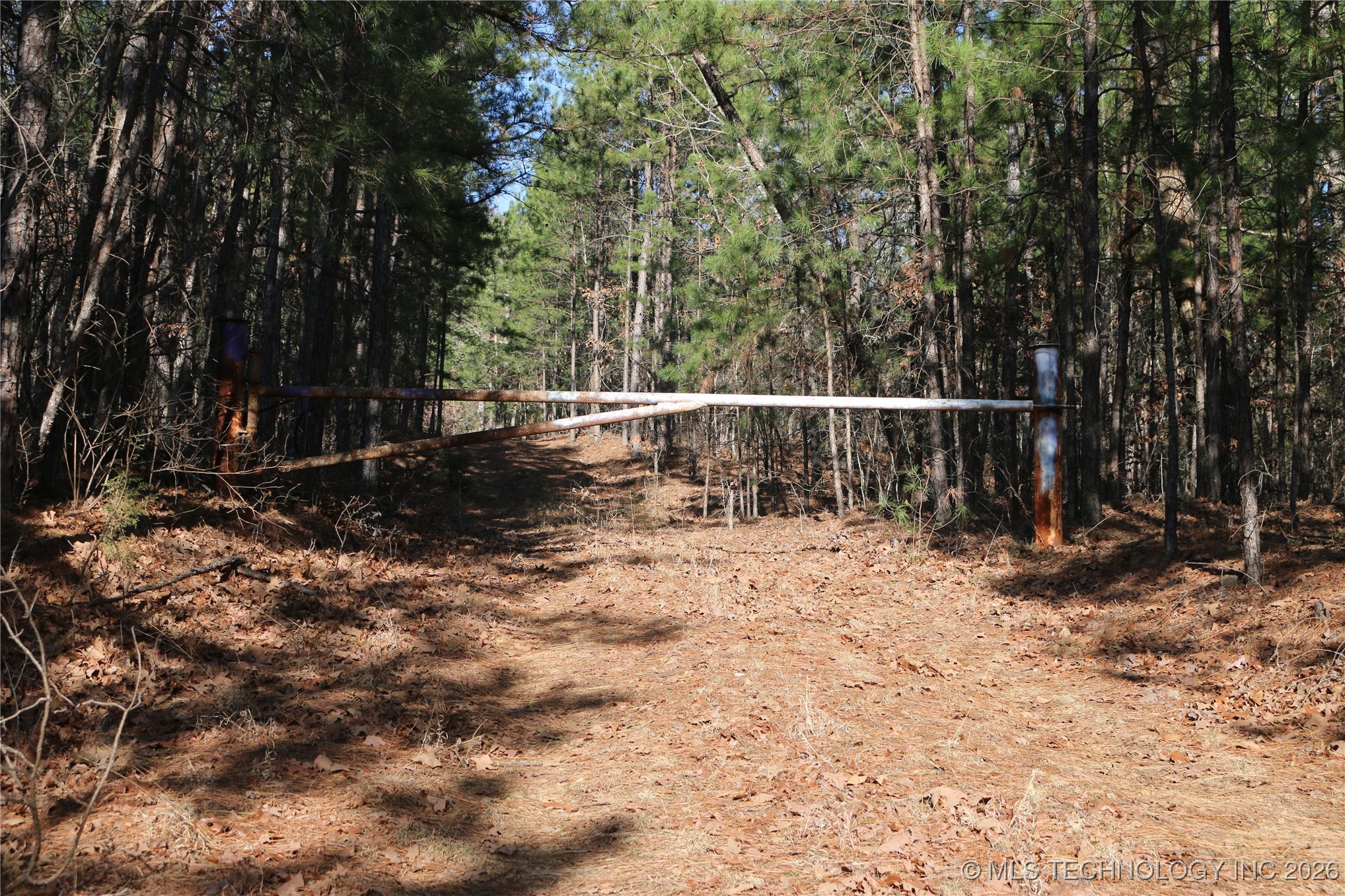 Marsh Loop Loop Property Photo 23