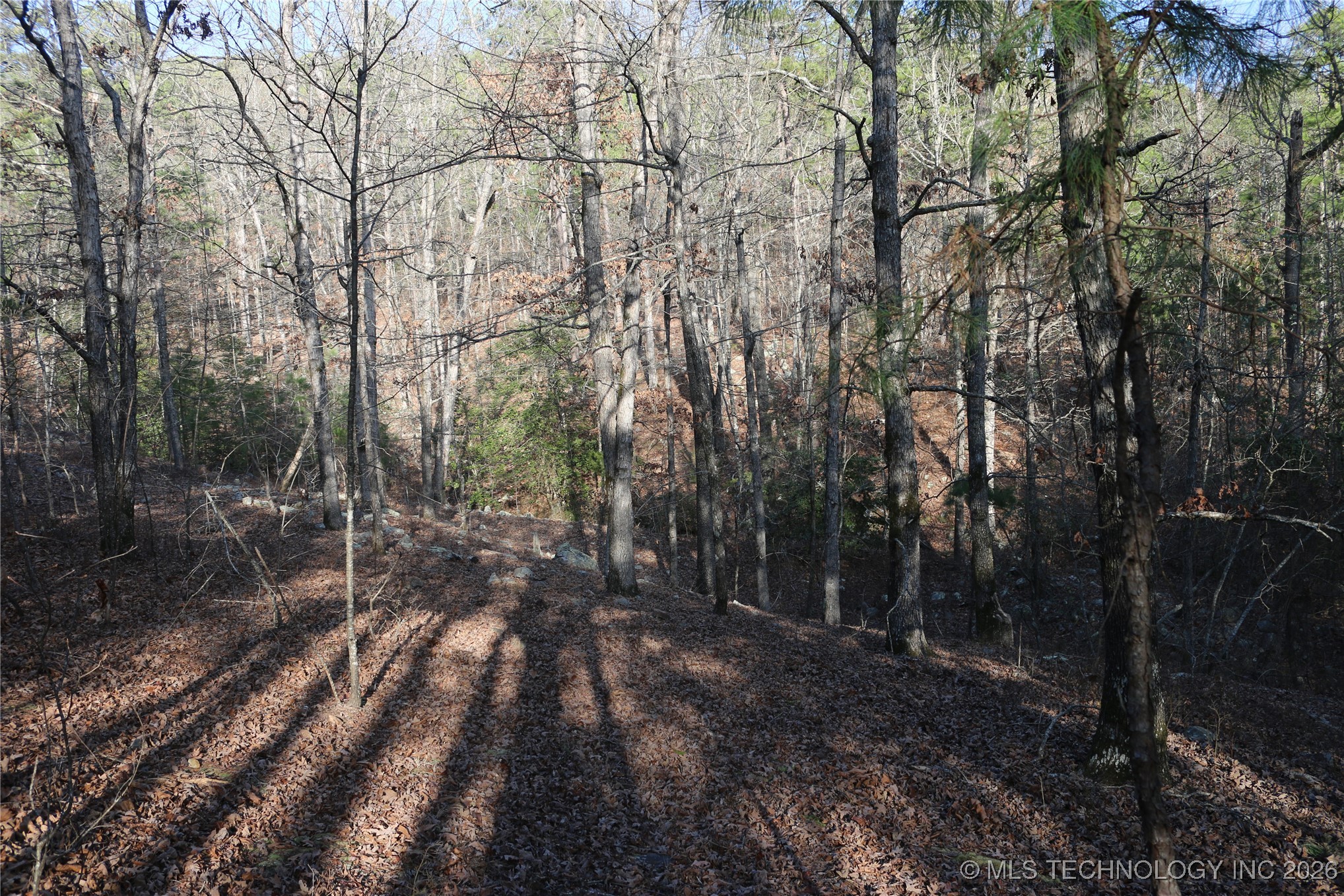 Marsh Loop Loop Property Photo 25