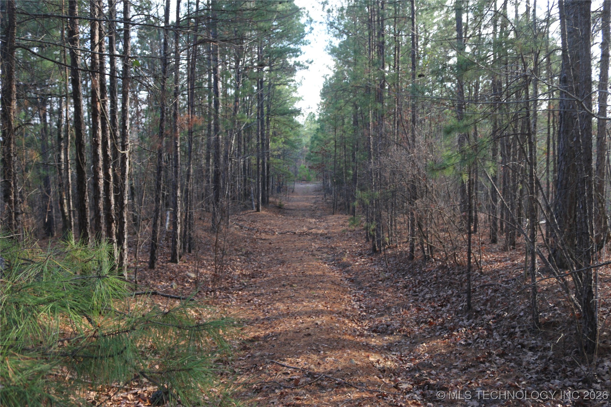 Marsh Loop Loop Property Photo 26