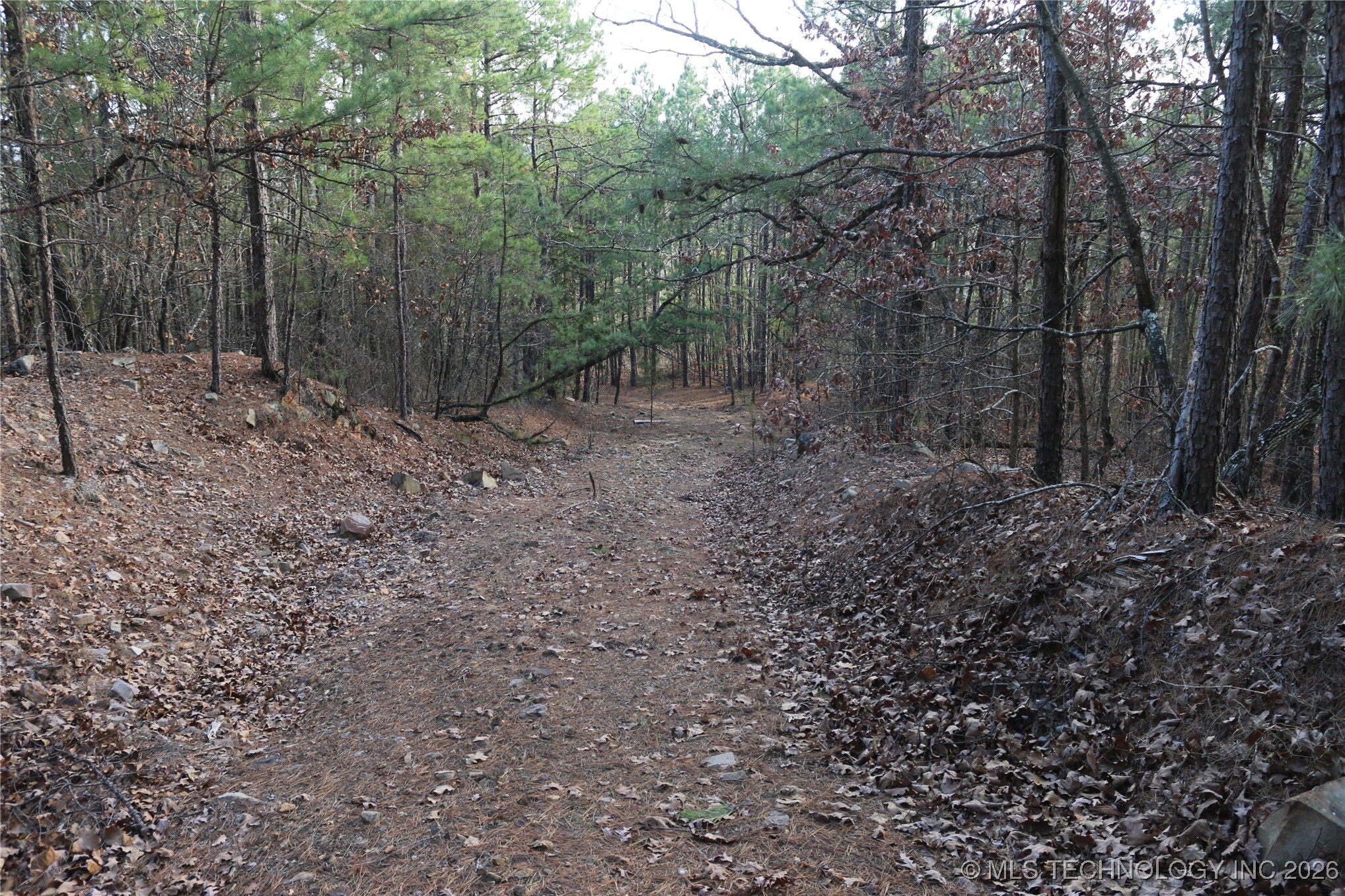 Marsh Loop Loop Property Photo 27