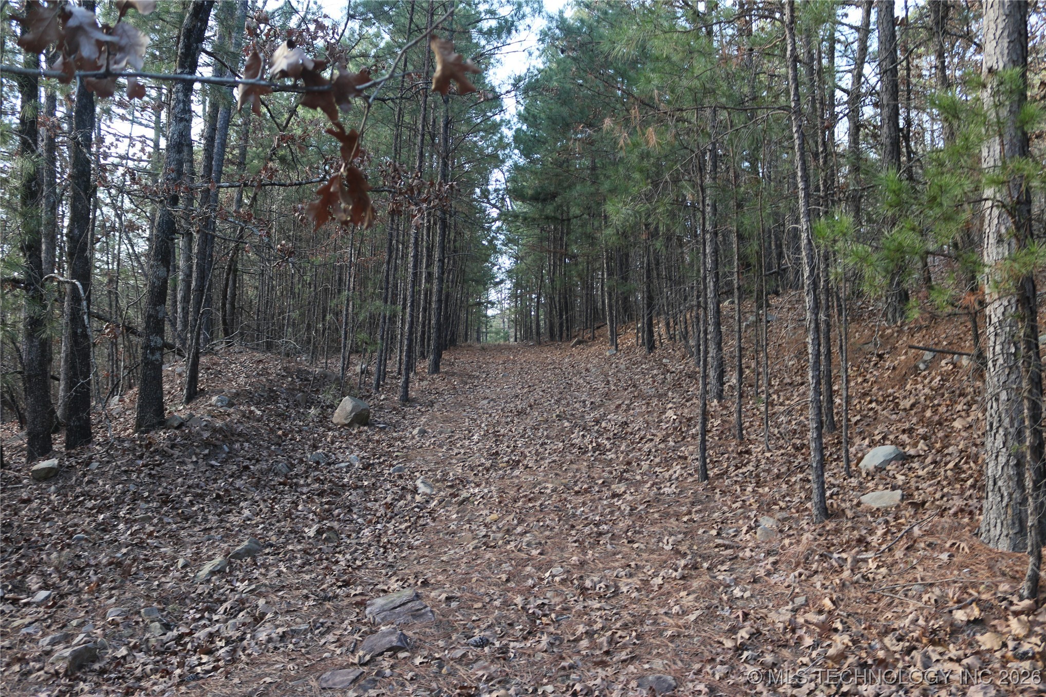 Marsh Loop Loop Property Photo 28