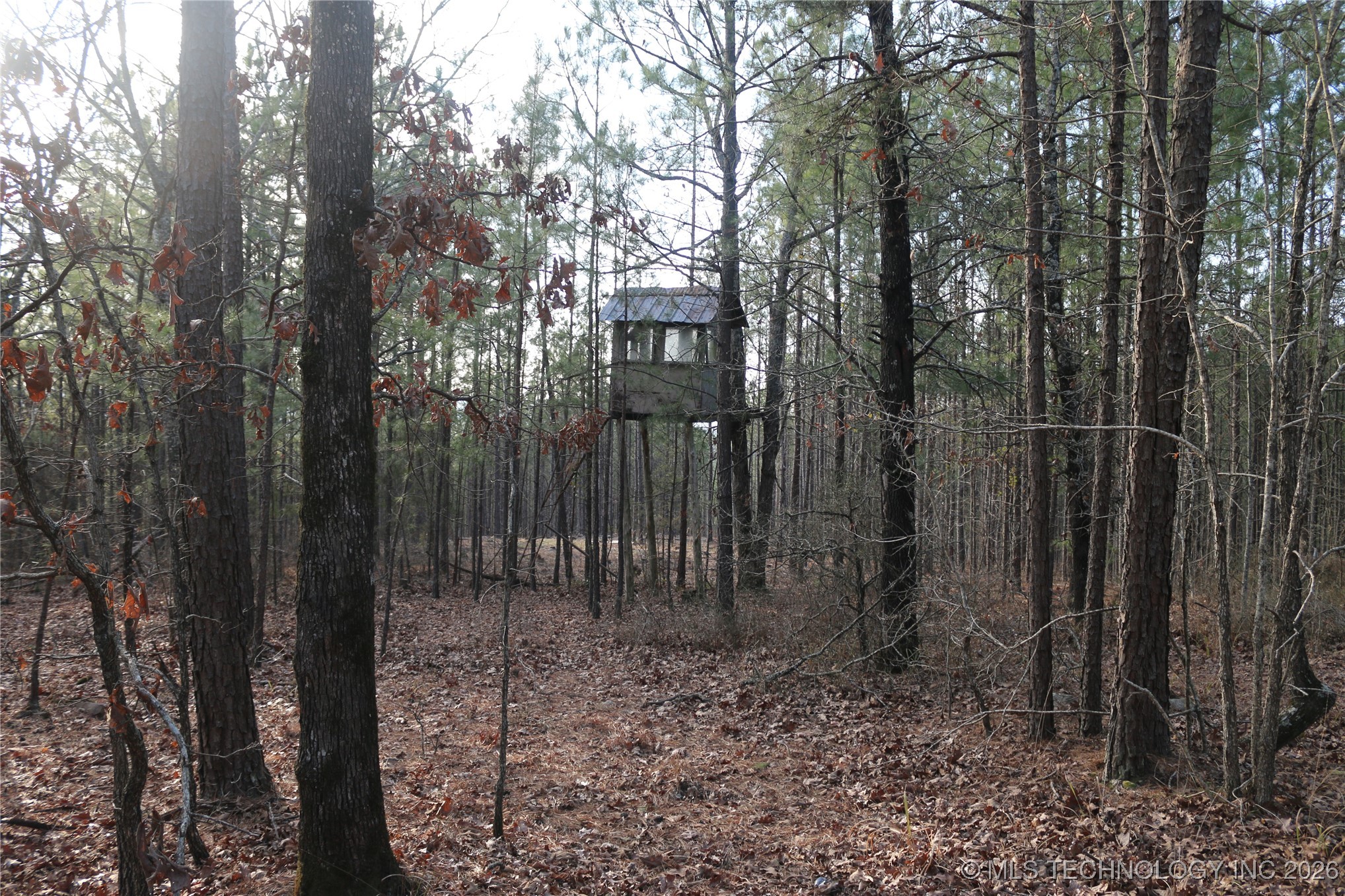 Marsh Loop Loop Property Photo 29