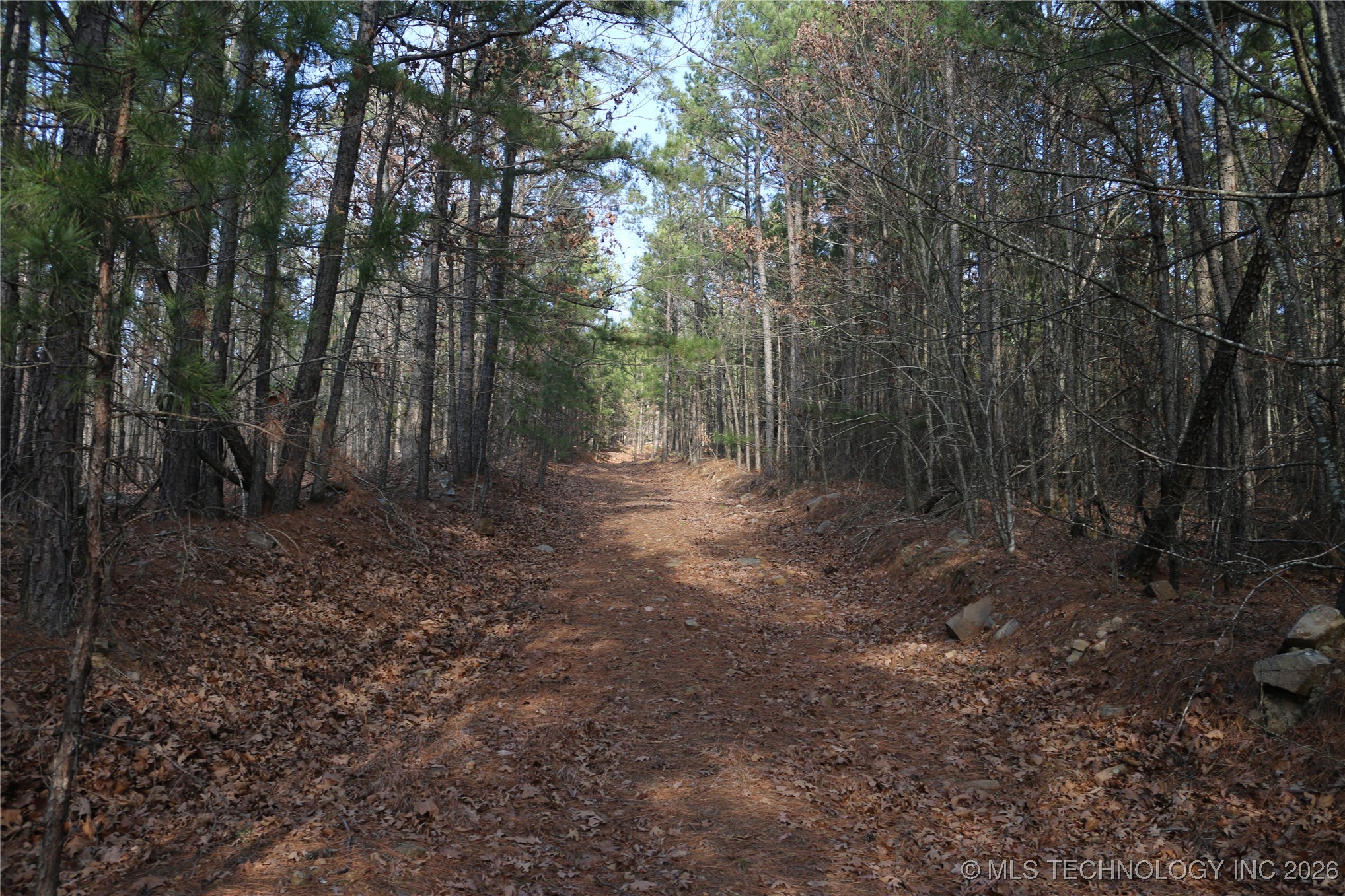 Marsh Loop Loop Property Photo 30