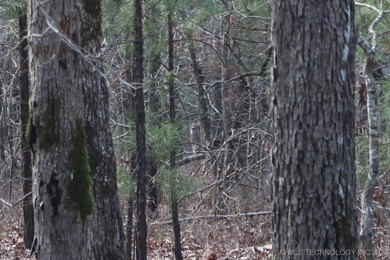 Marsh Loop Loop Property Photo 31