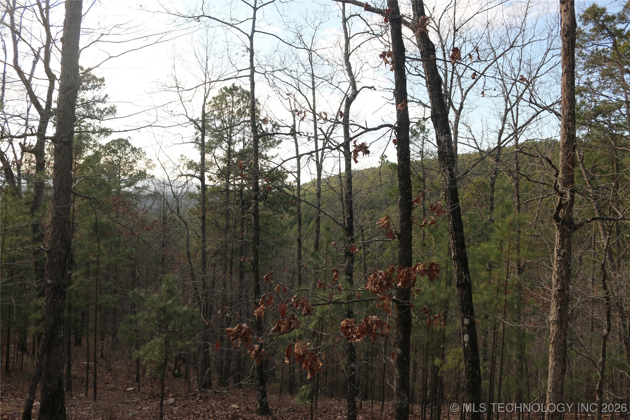 Marsh Loop Loop Property Photo 32