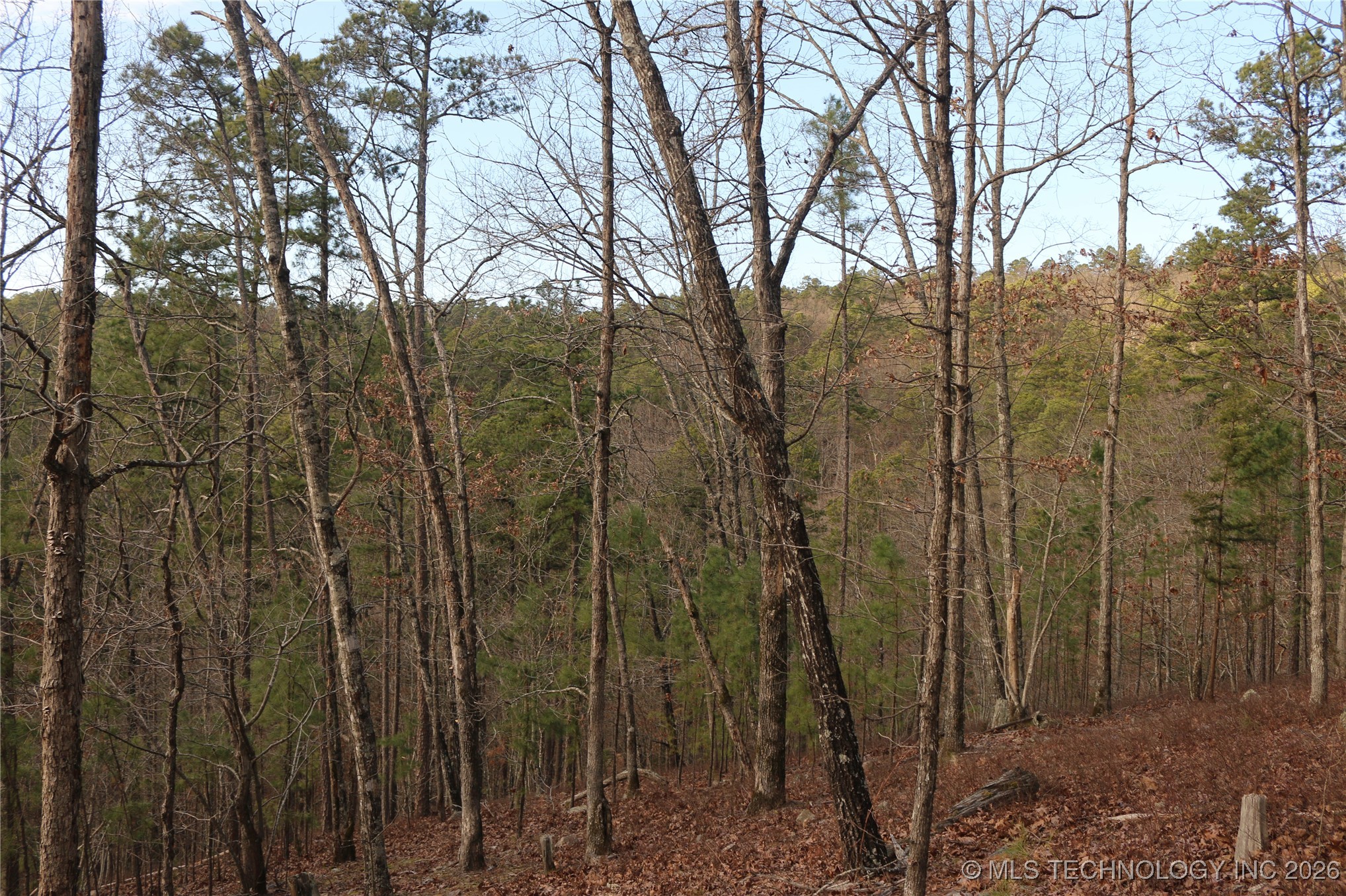 Marsh Loop Loop Property Photo 33
