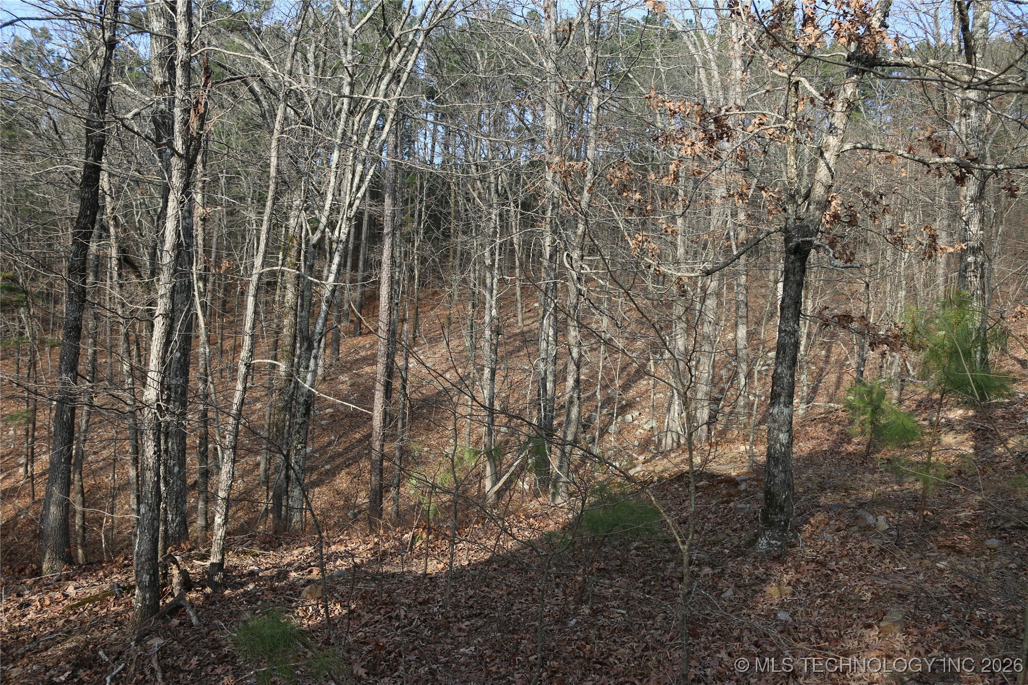 Marsh Loop Loop Property Photo 35