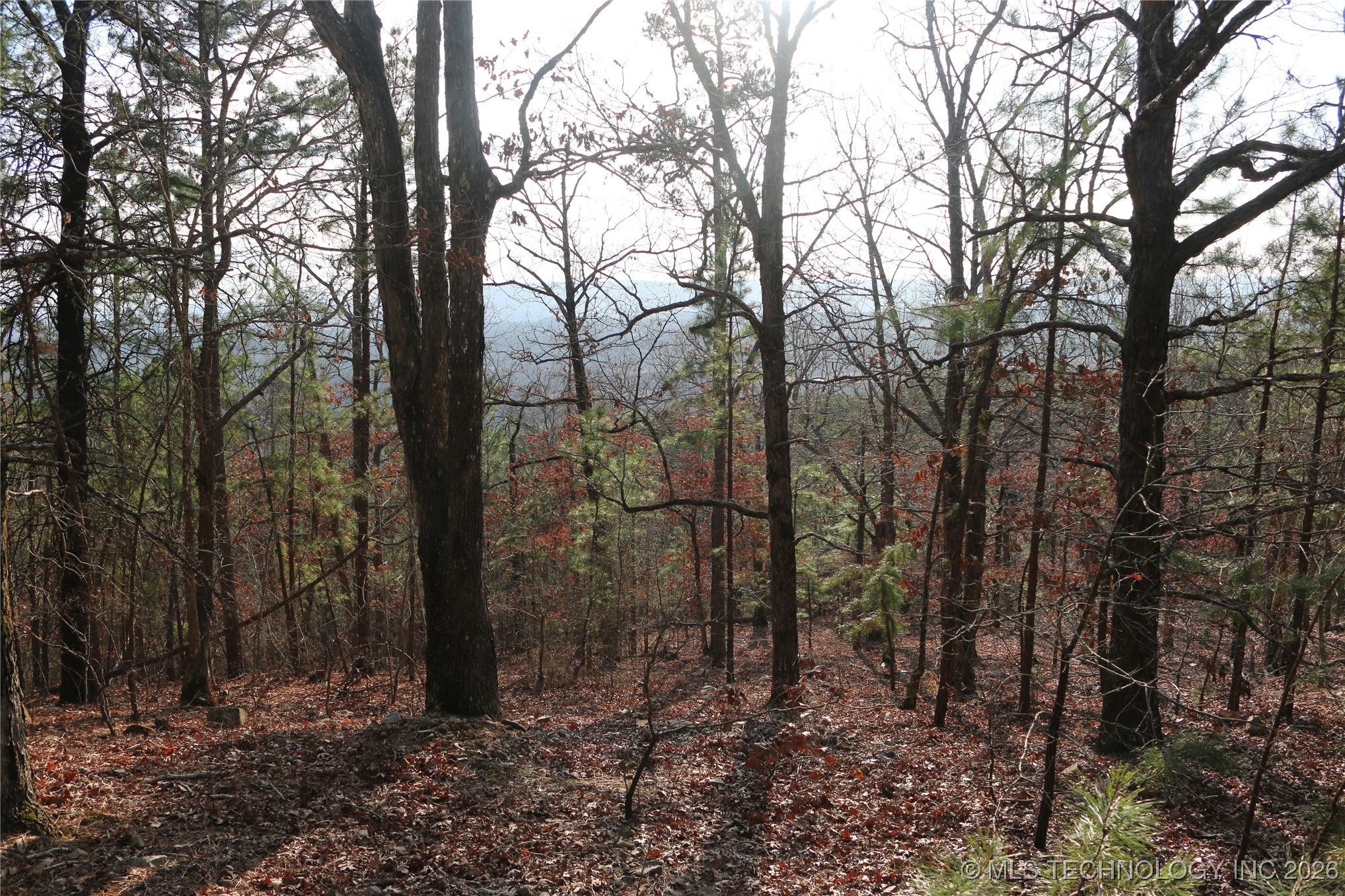 Marsh Loop Loop Property Photo 38