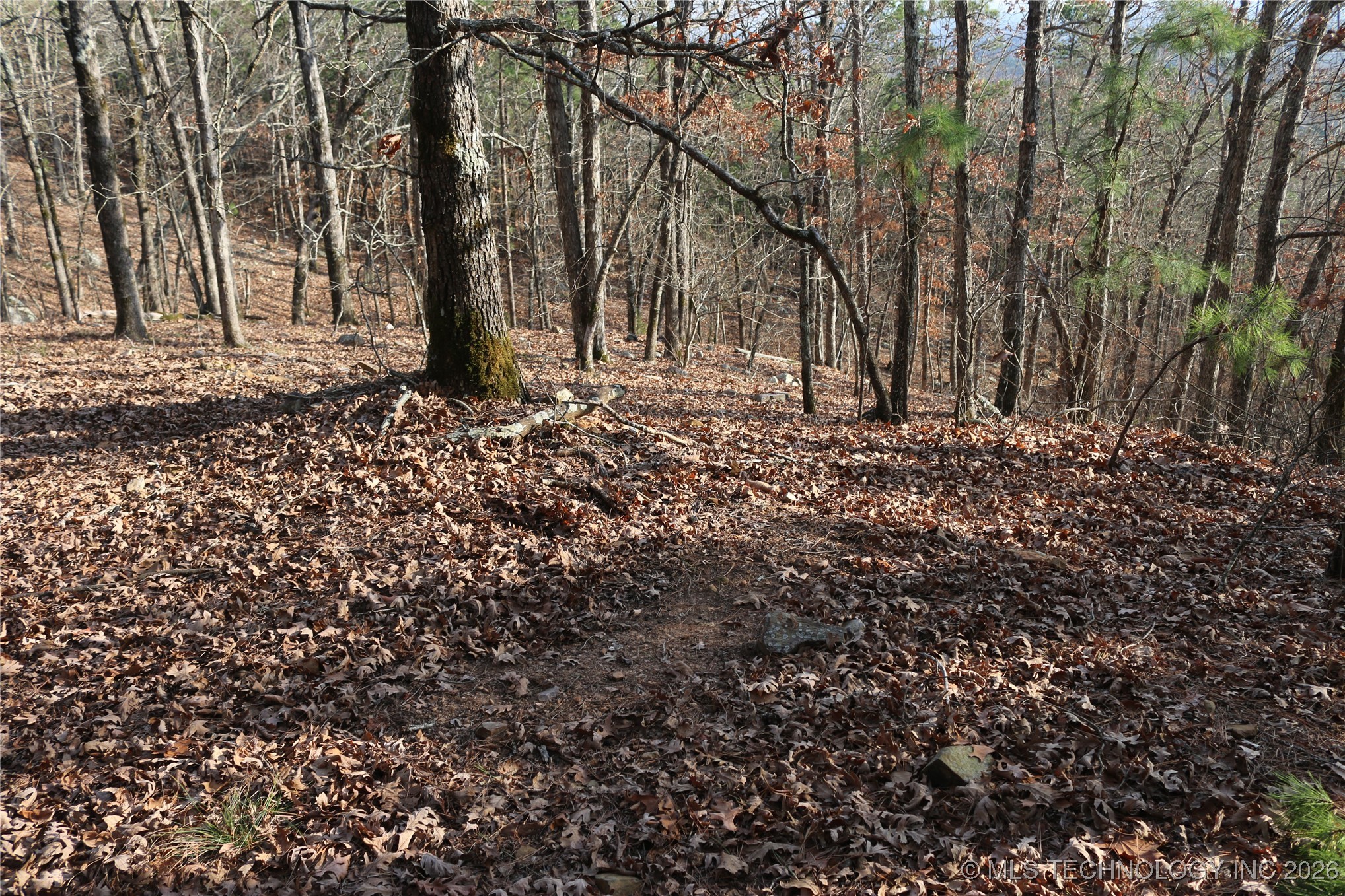 Marsh Loop Loop Property Photo 39