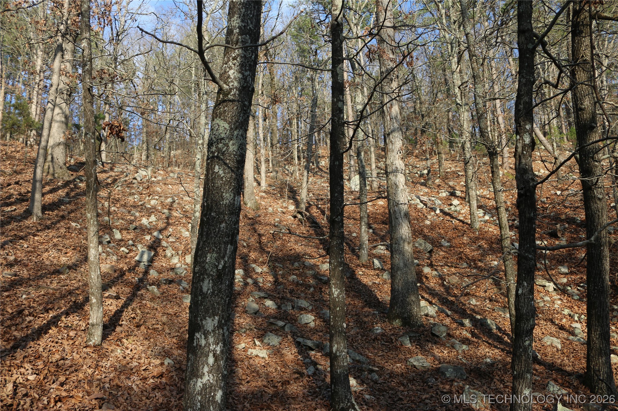 Marsh Loop Loop Property Photo 40