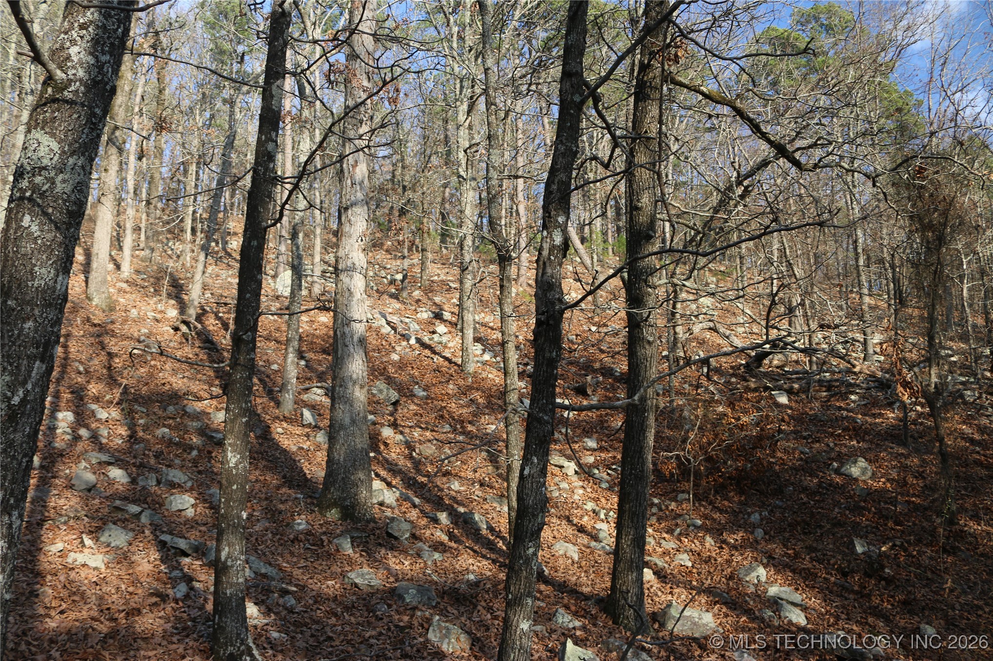 Marsh Loop Loop Property Photo 41