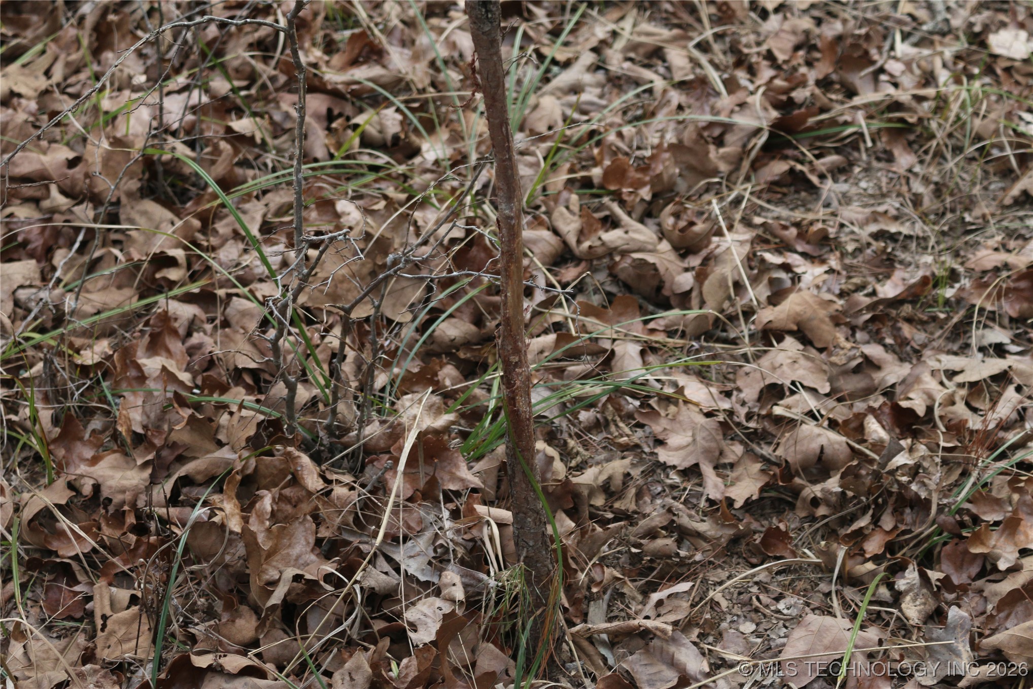 Marsh Loop Loop Property Photo 42