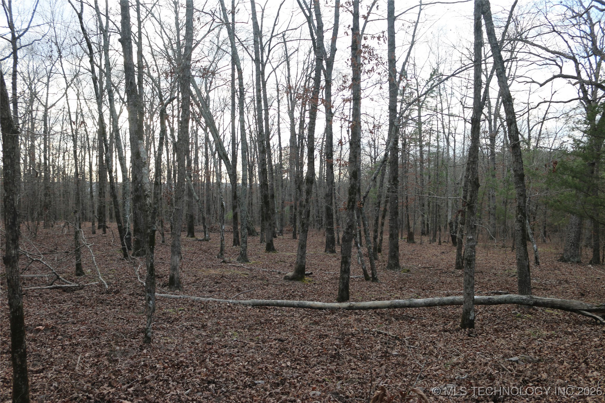 Marsh Loop Loop Property Photo 43