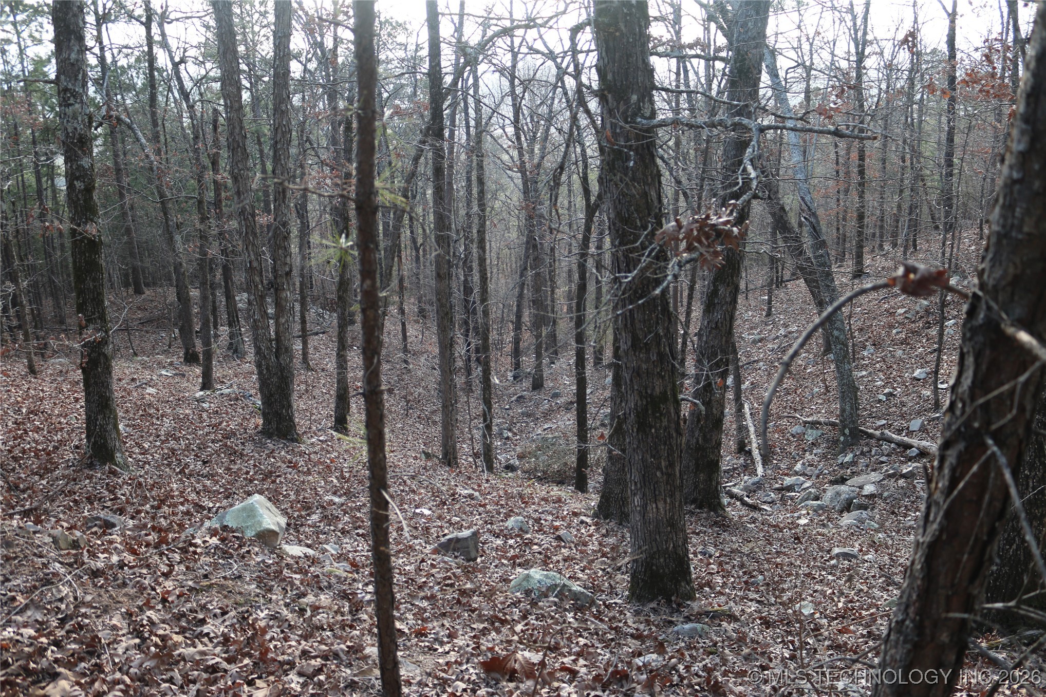 Marsh Loop Loop Property Photo 44