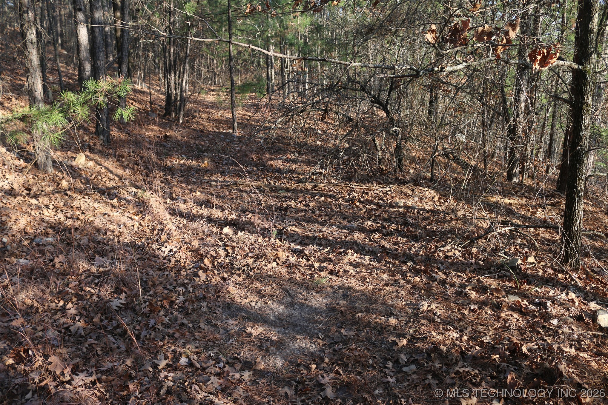 Marsh Loop Loop Property Photo 45