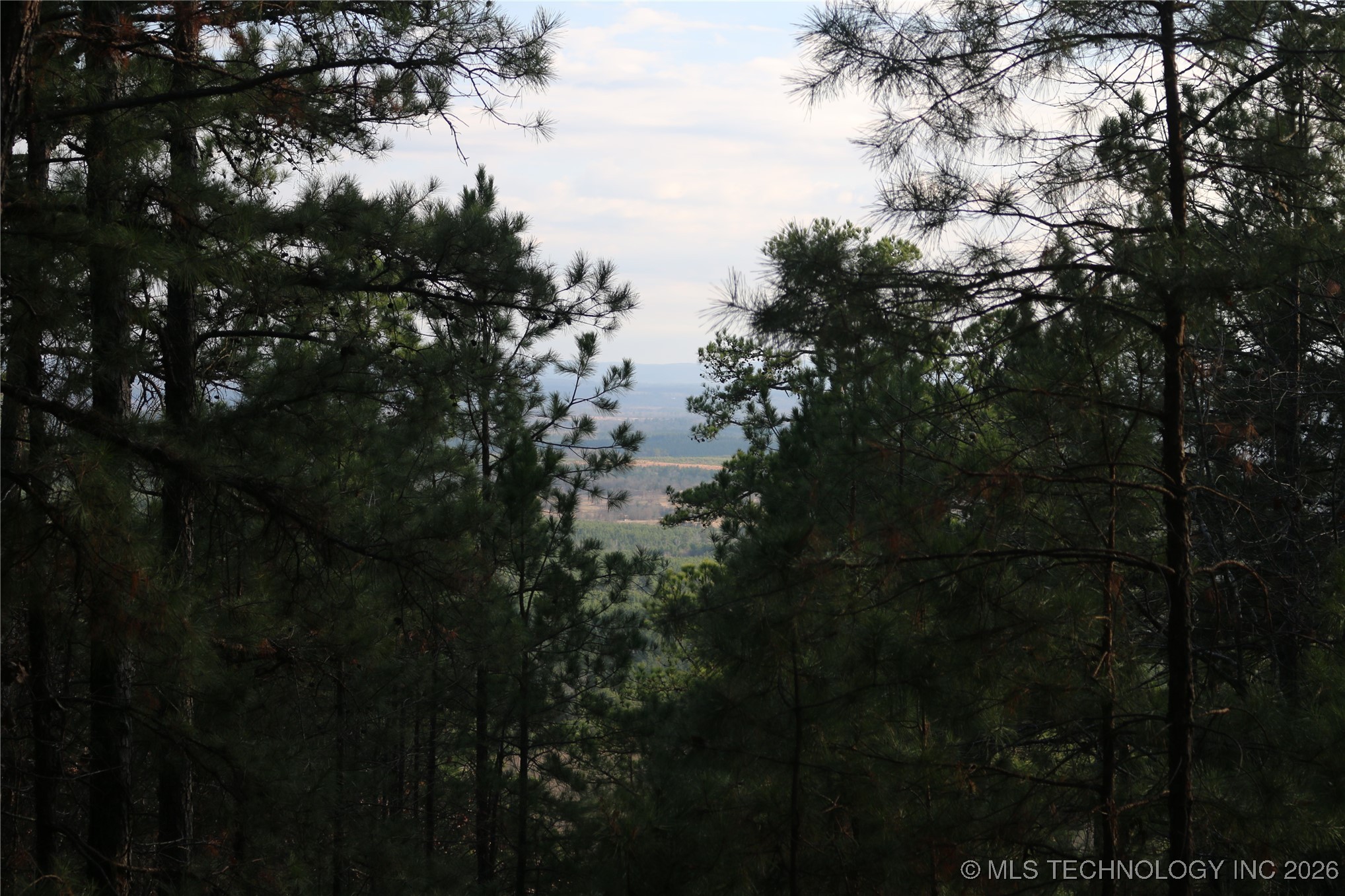 Marsh Loop Loop Property Photo 46