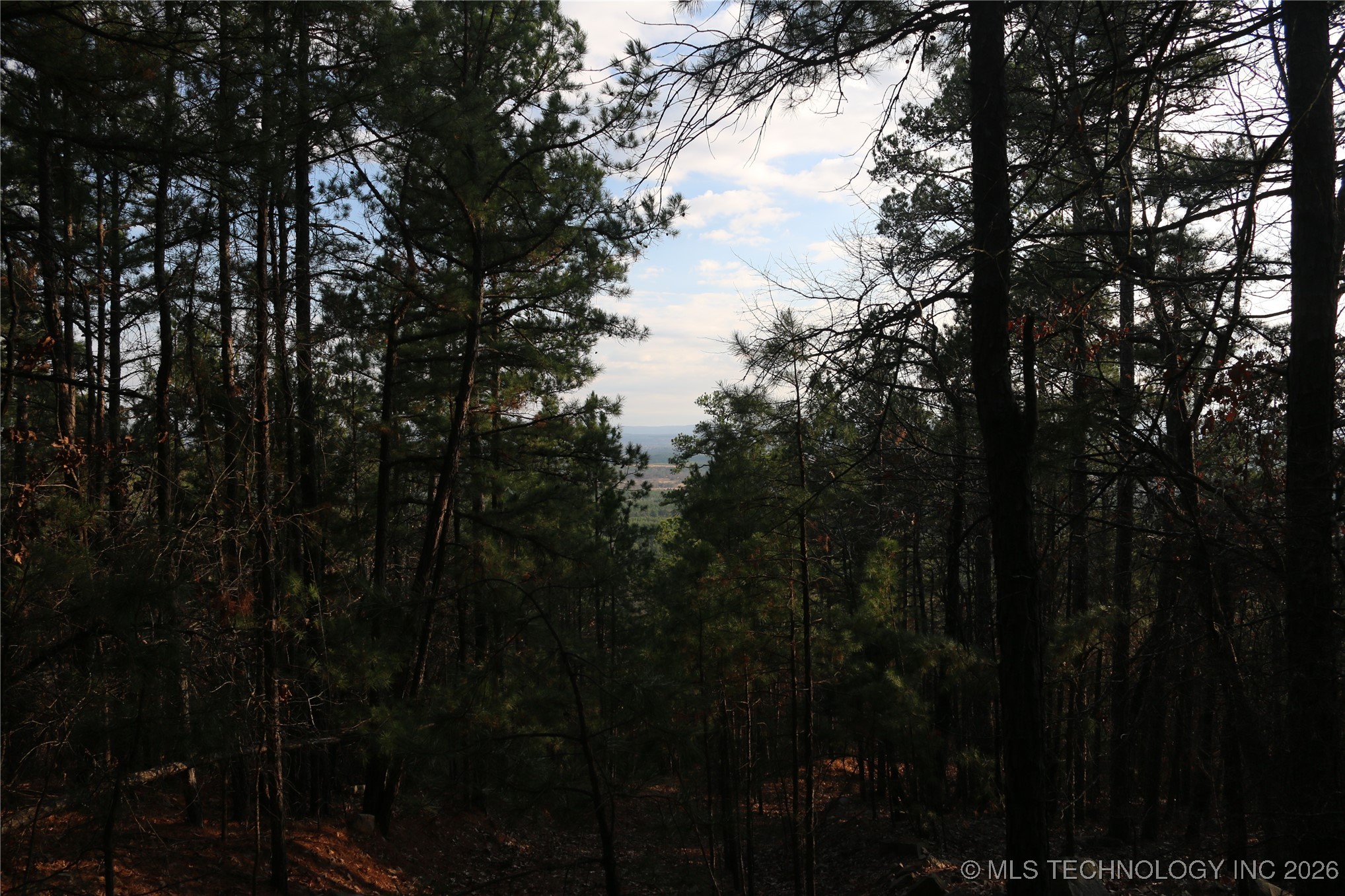 Marsh Loop Loop Property Photo 47