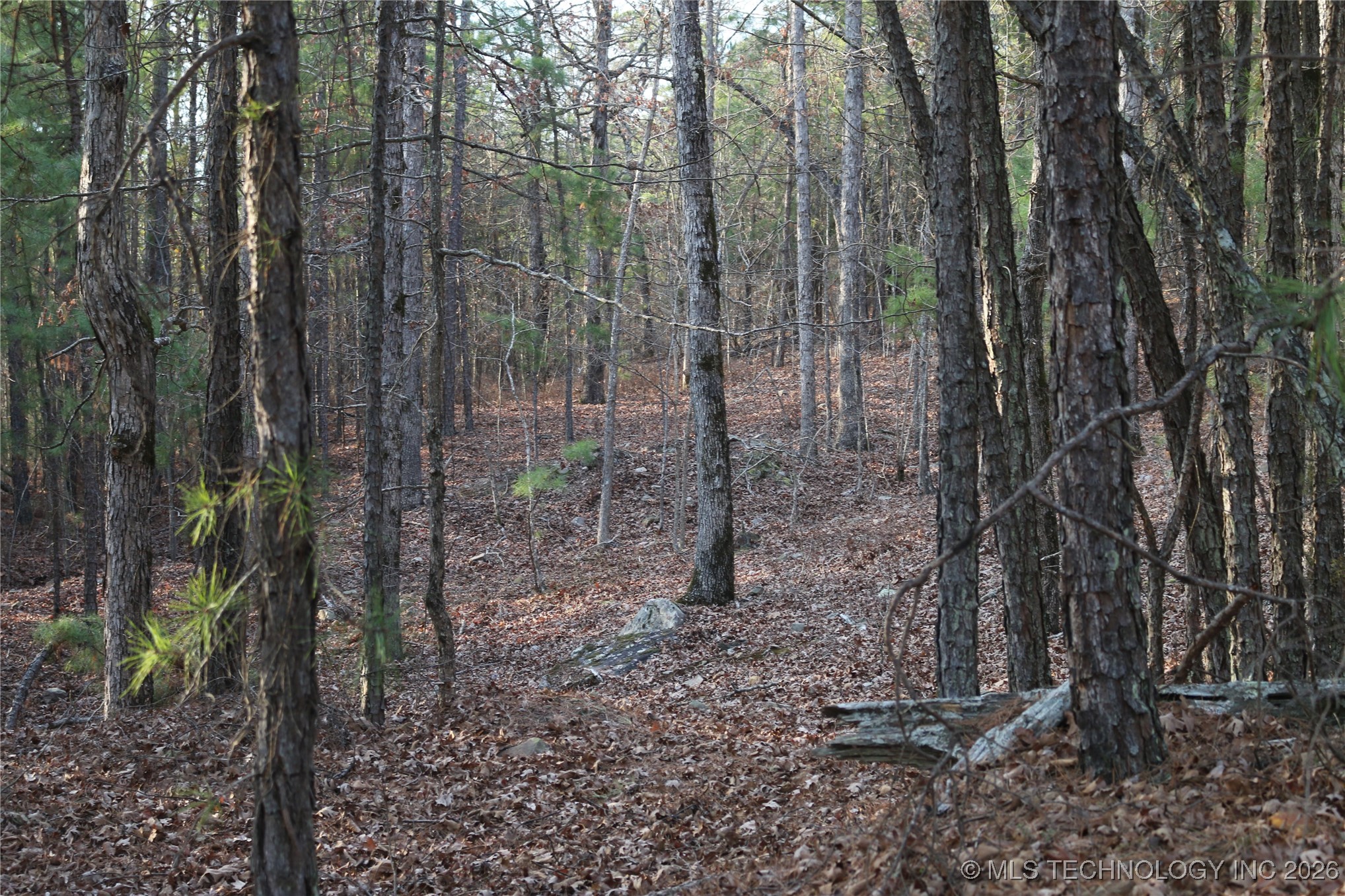 Marsh Loop Loop Property Photo 48