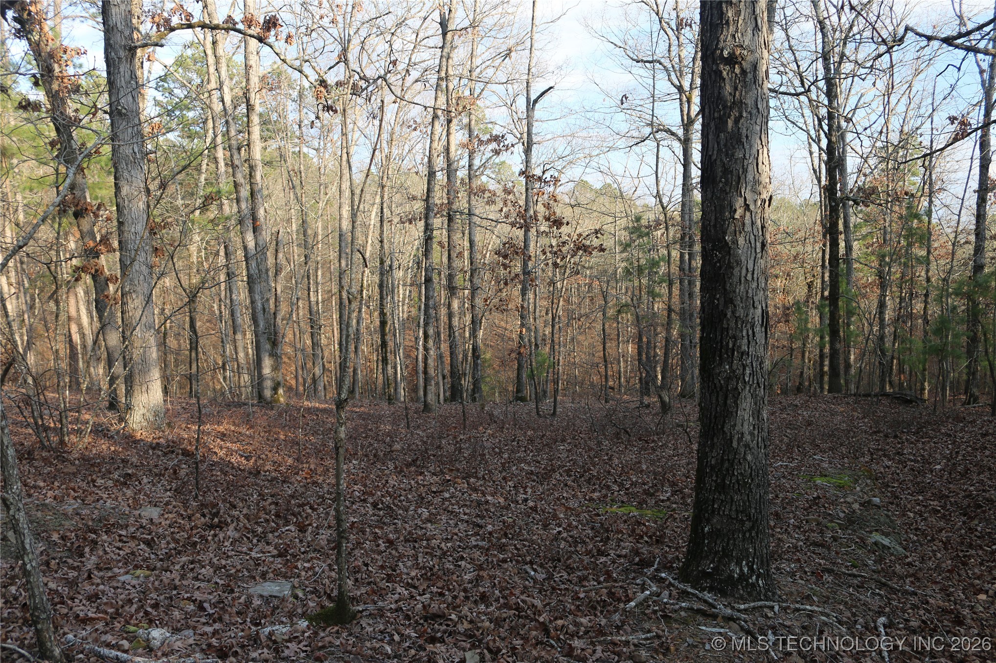 Marsh Loop Loop Property Photo 49