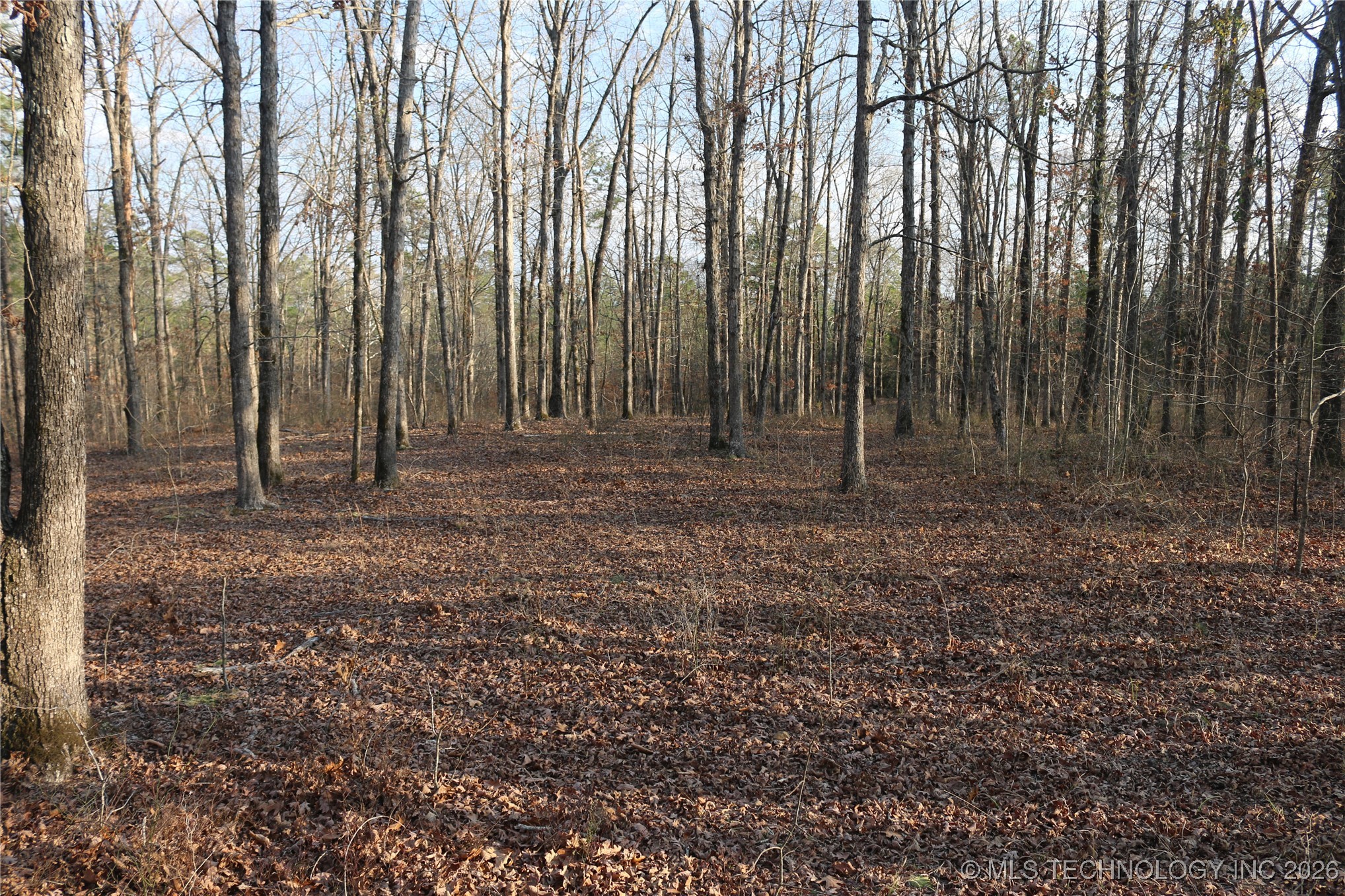 Marsh Loop Loop Property Photo 51