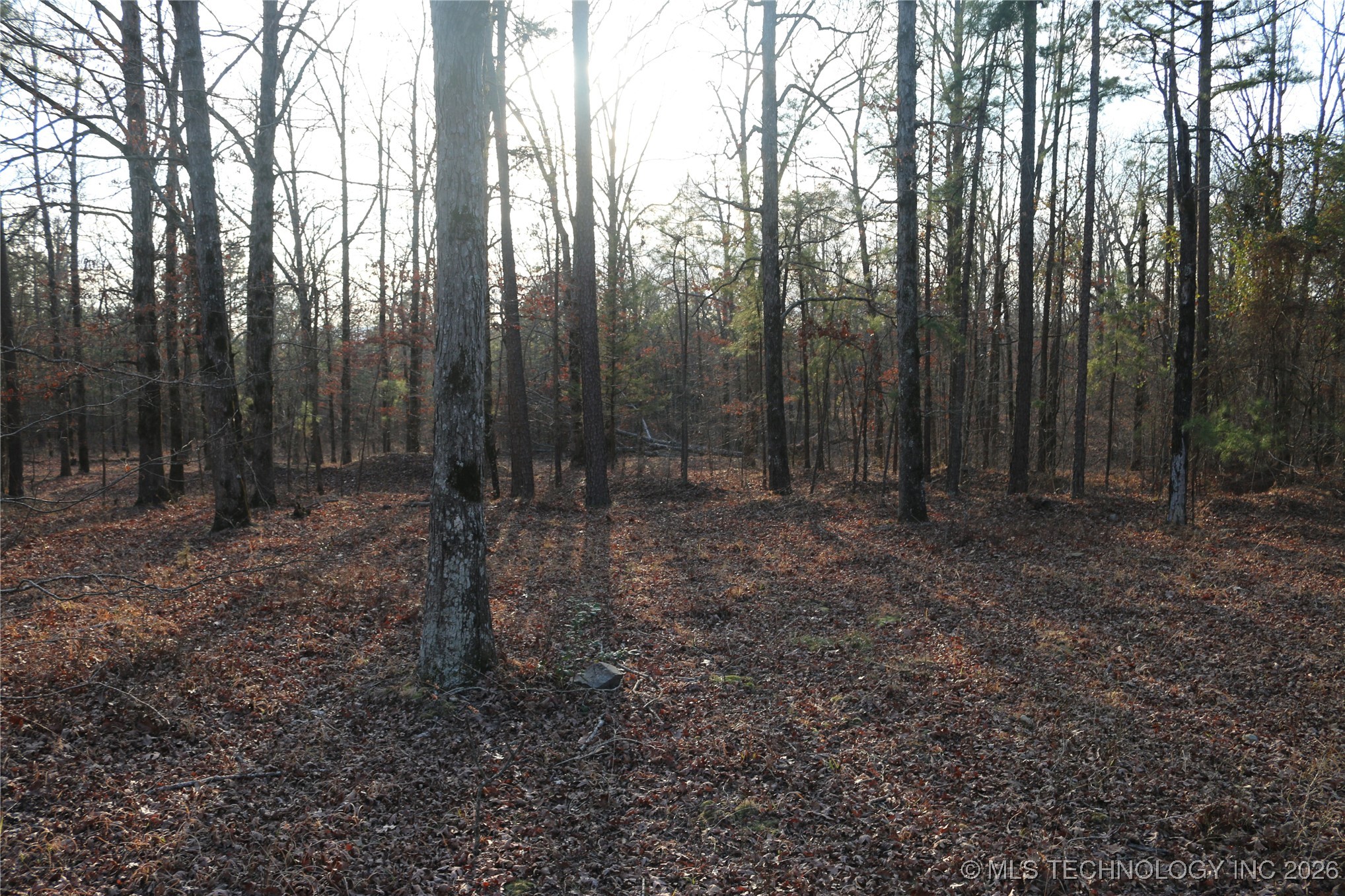 Marsh Loop Loop Property Photo 52