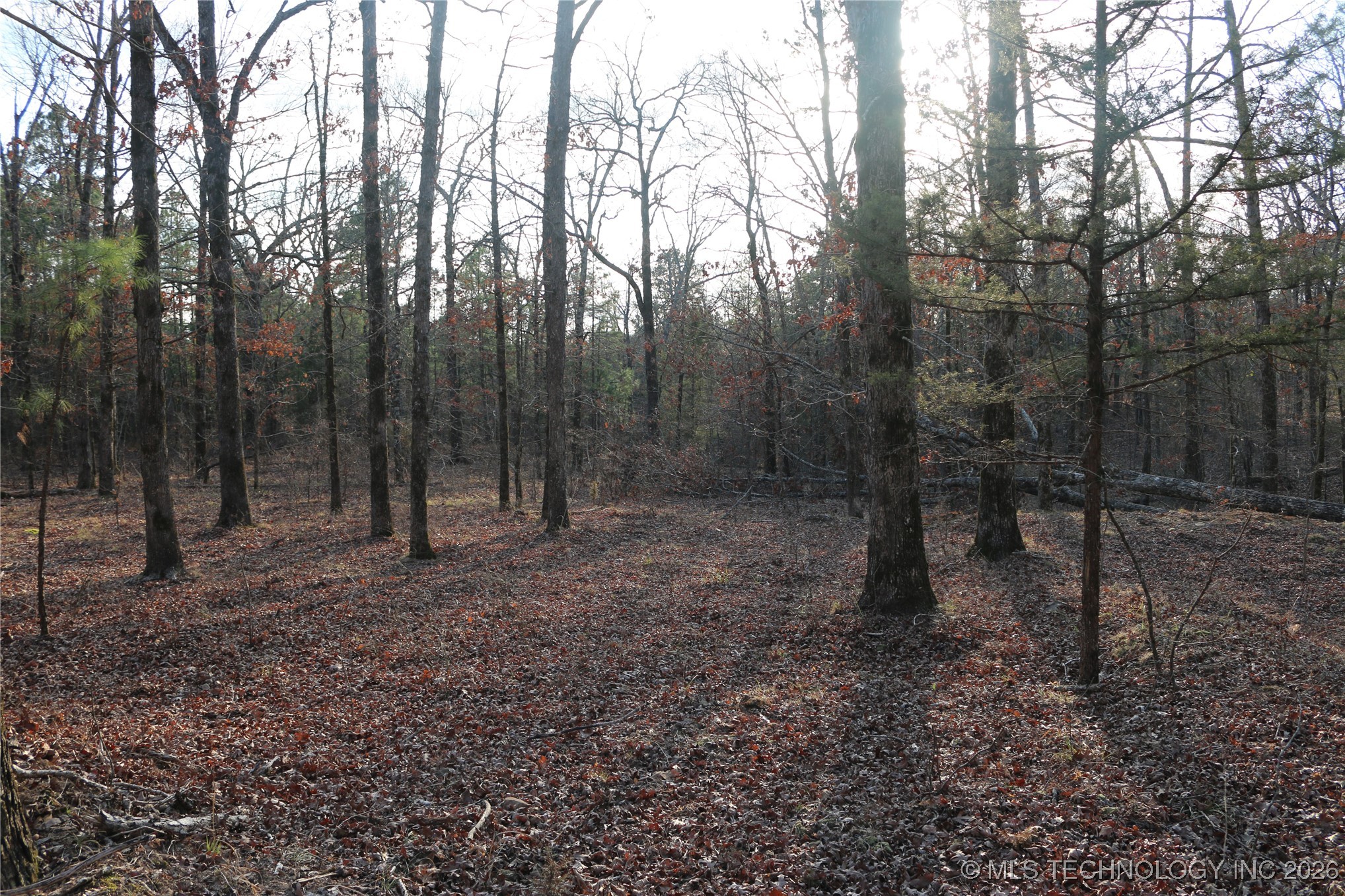 Marsh Loop Loop Property Photo 53