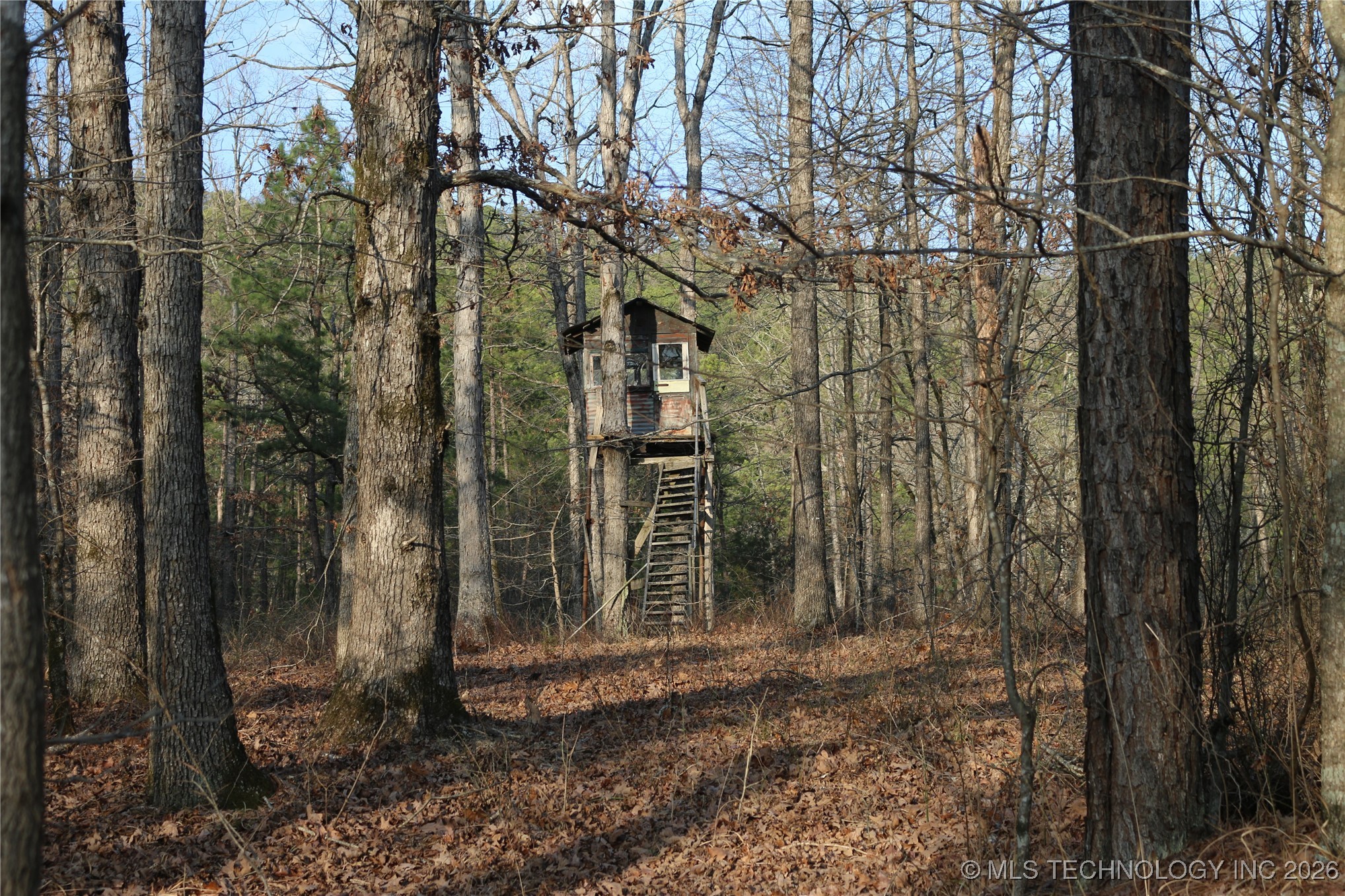 Marsh Loop Loop Property Photo 54