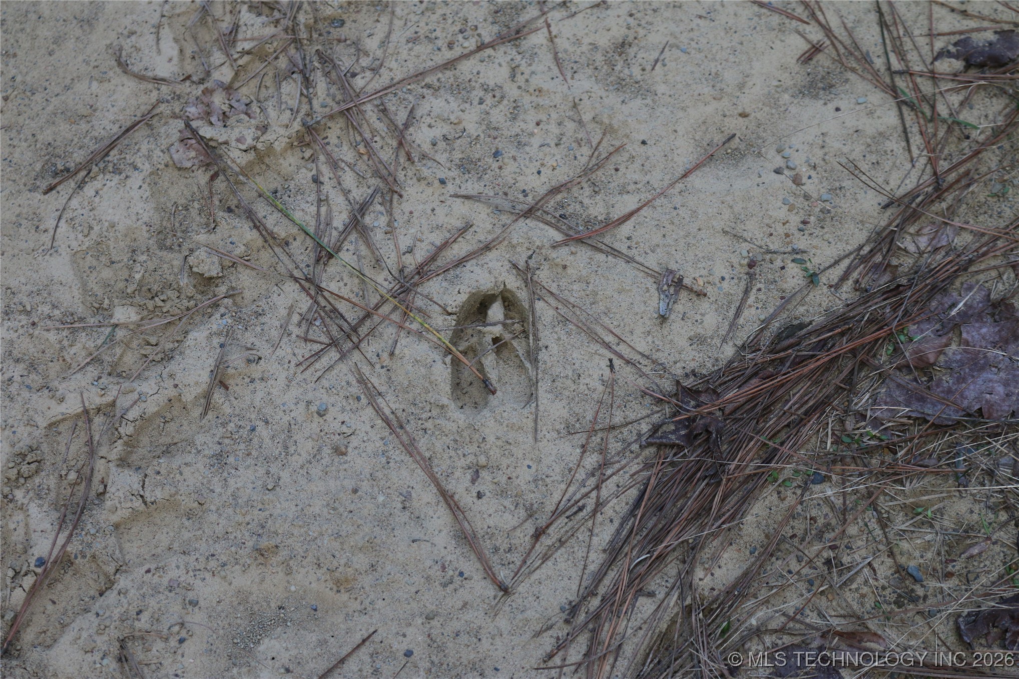 Marsh Loop Loop Property Photo 55