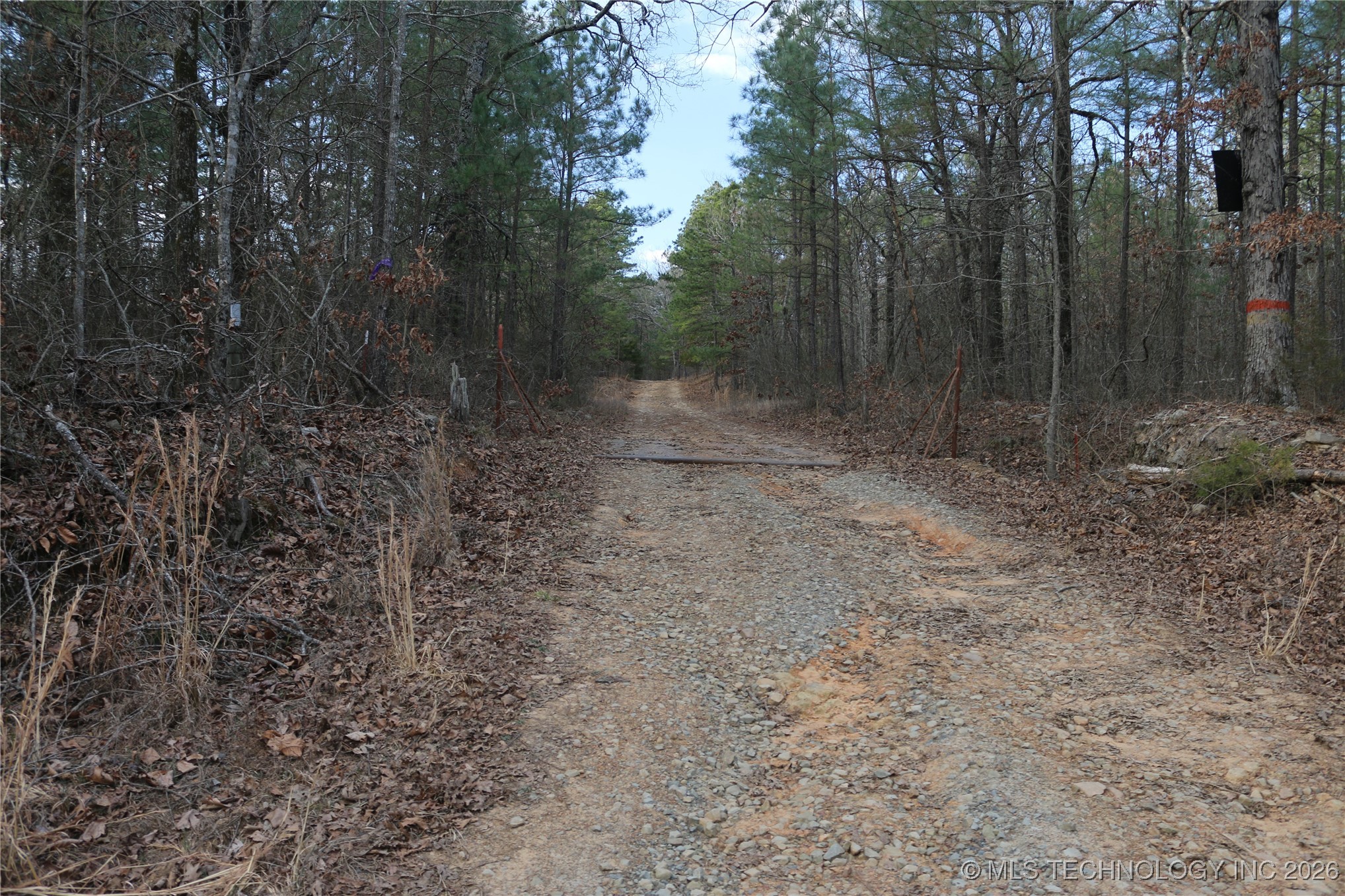 Marsh Loop Loop Property Photo 56