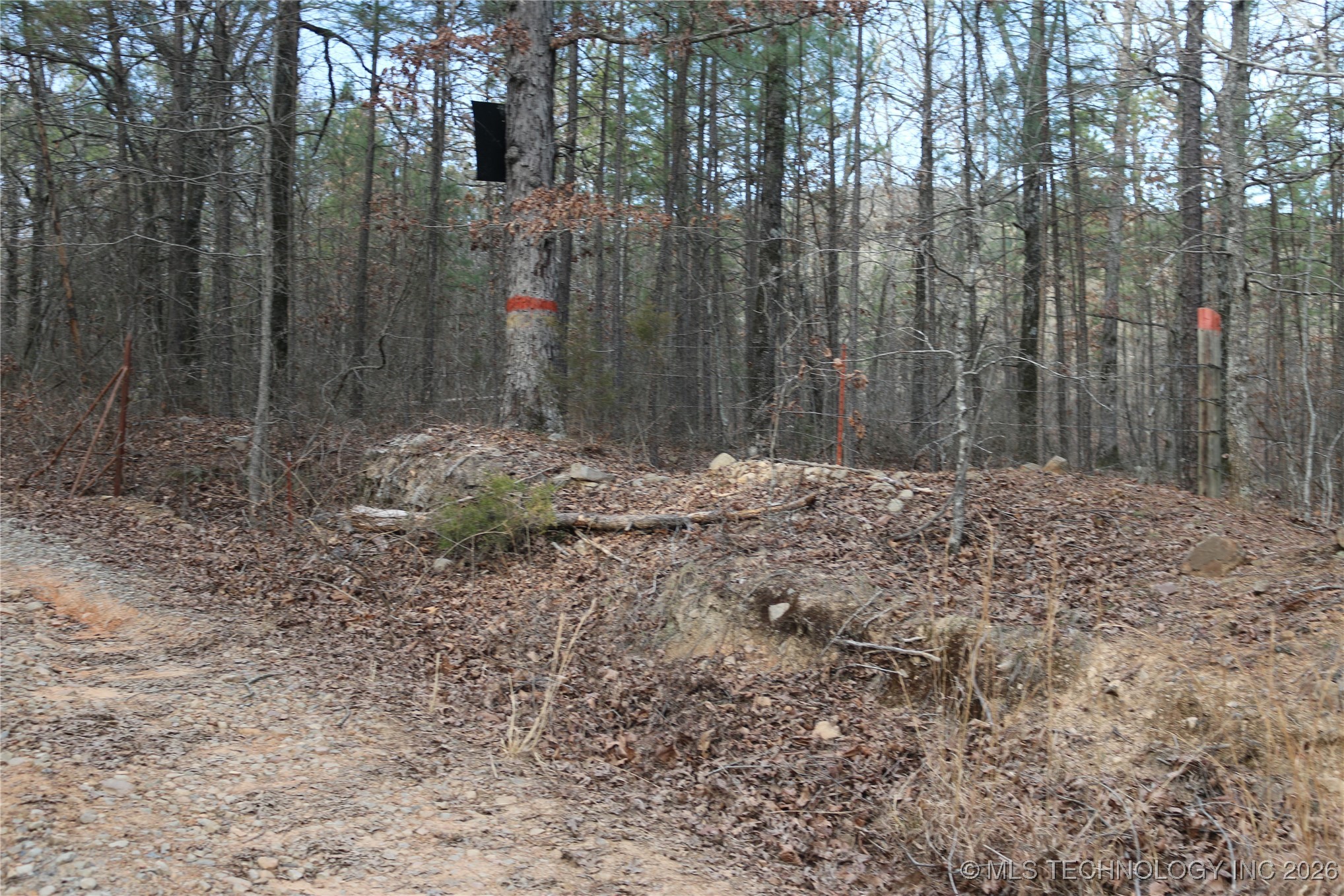 Marsh Loop Loop Property Photo 57