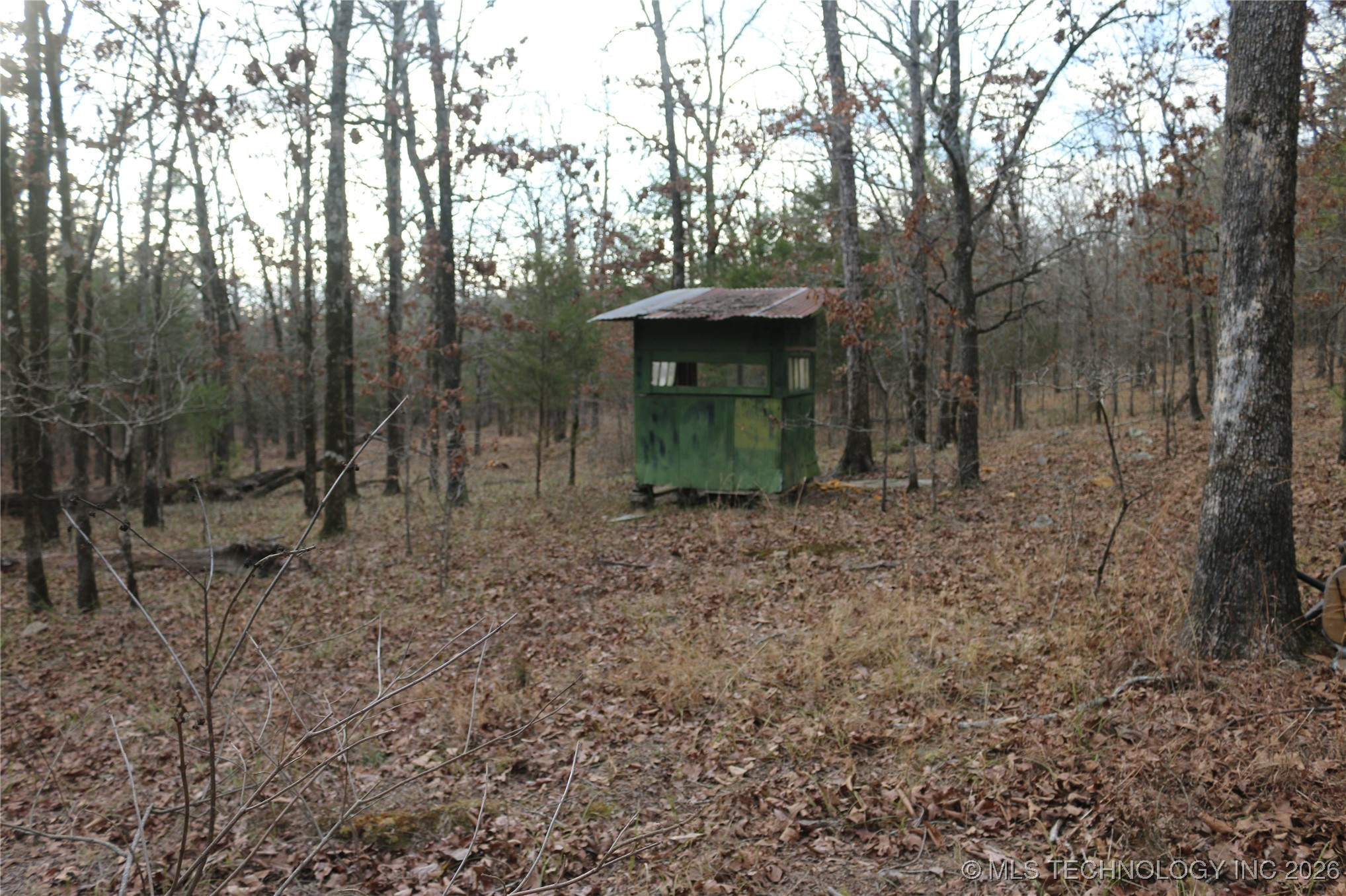 Marsh Loop Loop Property Photo 58