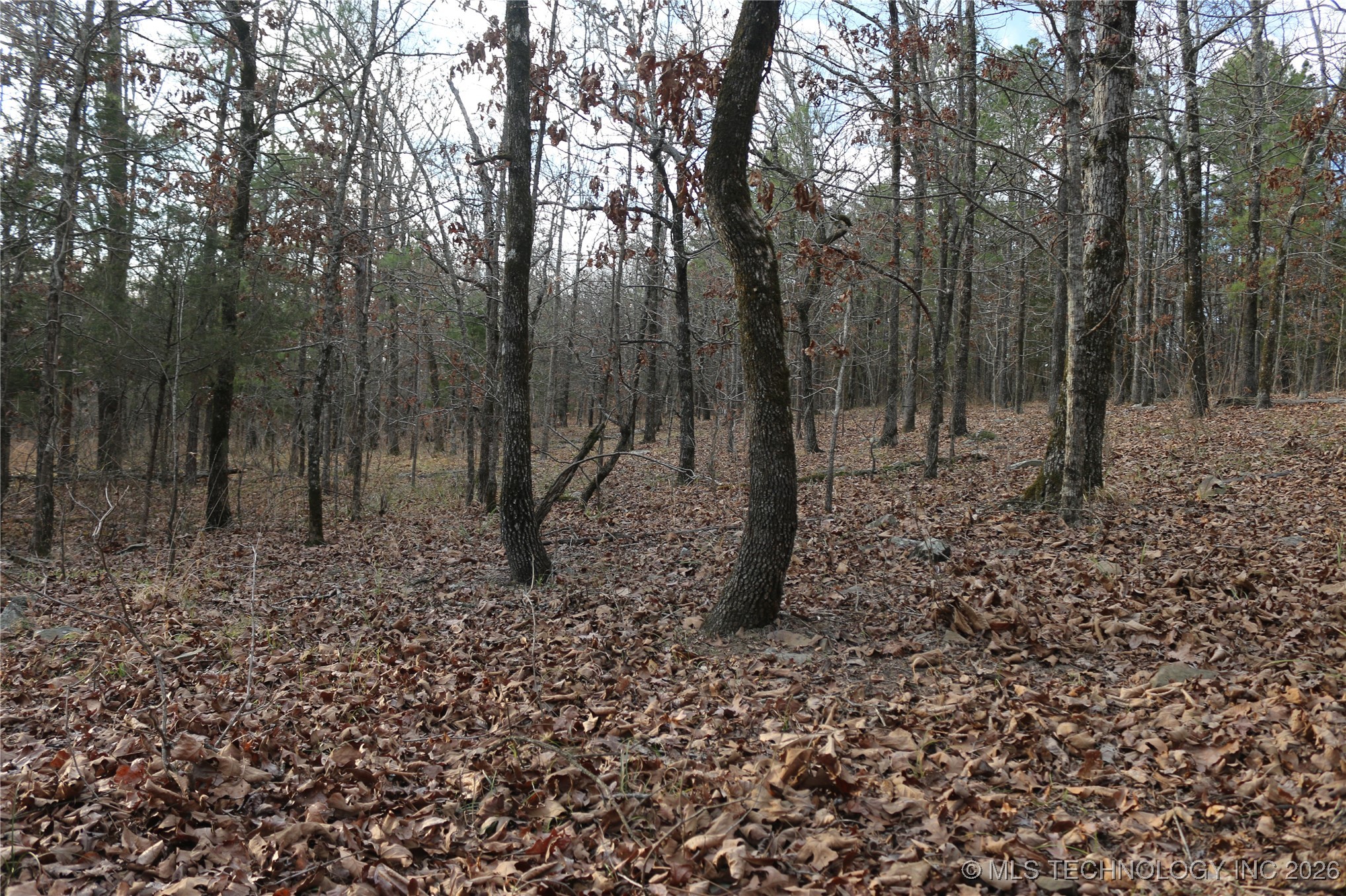 Marsh Loop Loop Property Photo 59