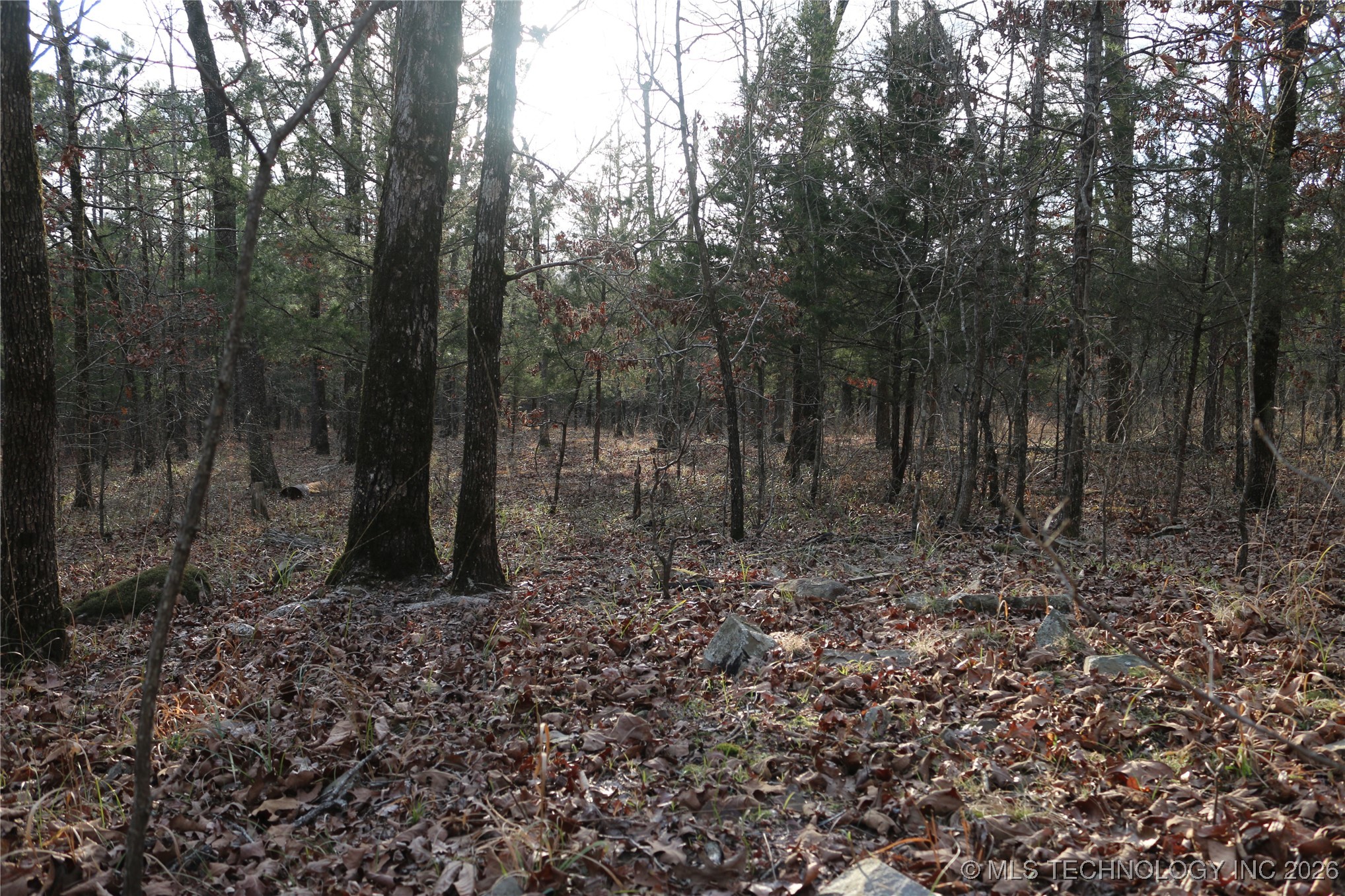 Marsh Loop Loop Property Photo 60