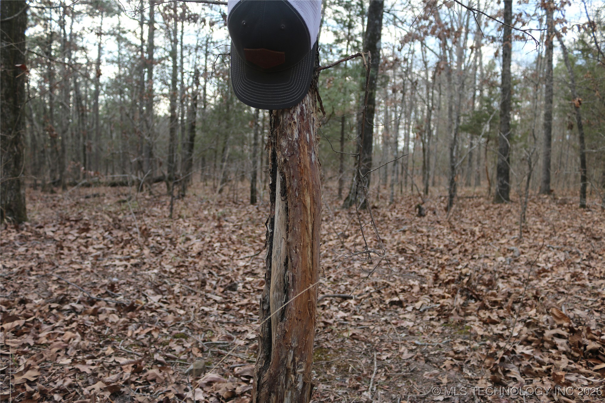 Marsh Loop Loop Property Photo 61