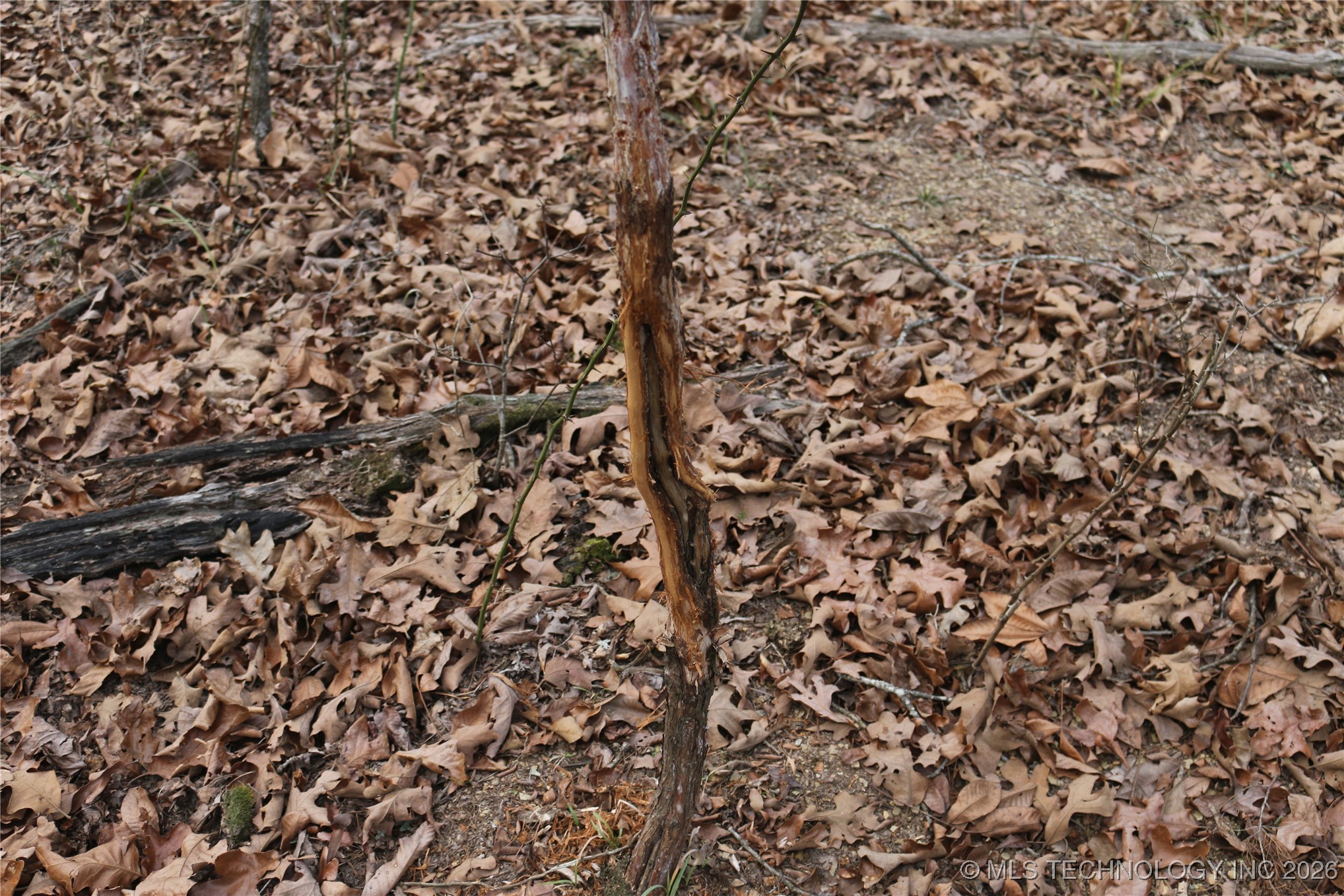 Marsh Loop Loop Property Photo 62