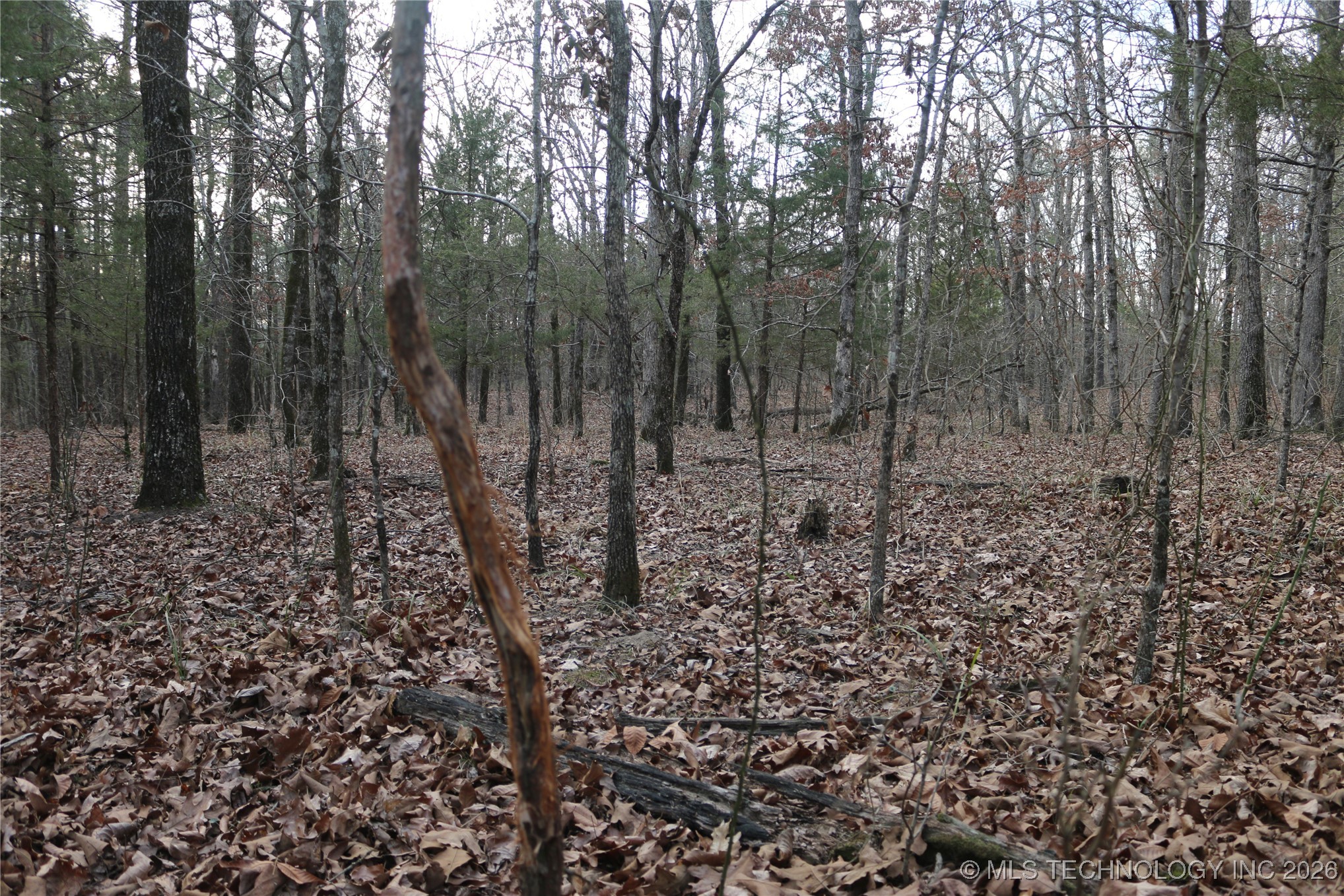 Marsh Loop Loop Property Photo 63