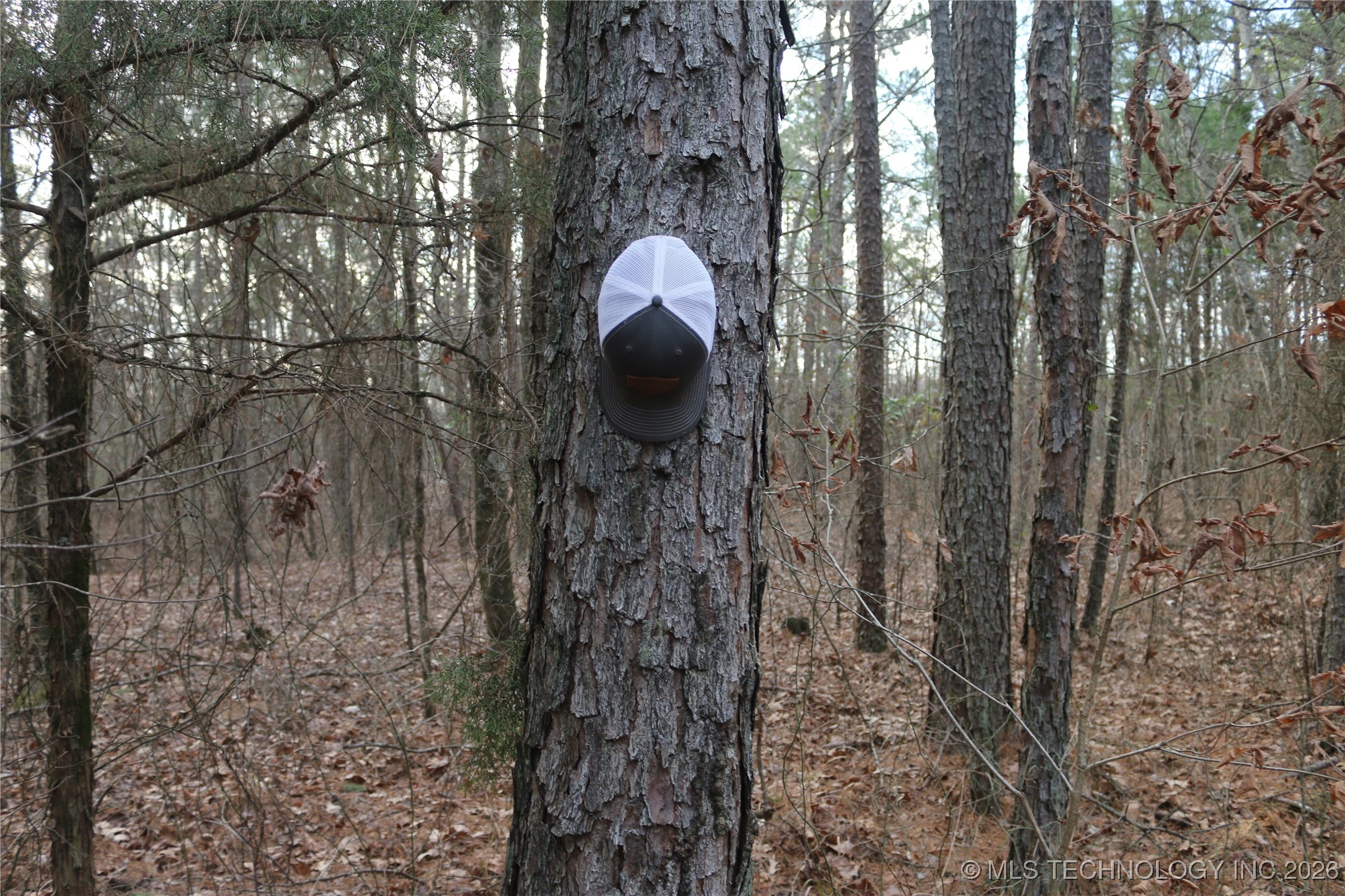 Marsh Loop Loop Property Photo 65