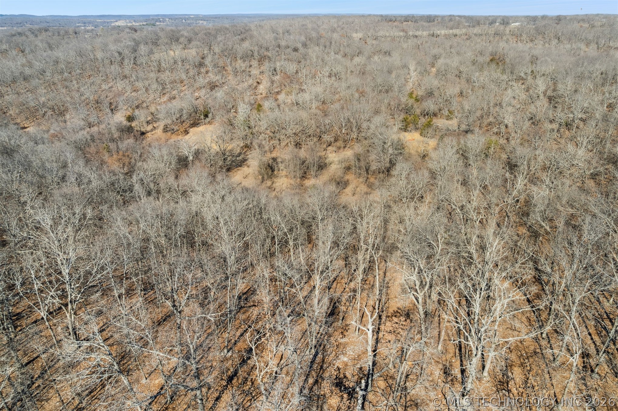 16398 N Fred Smith Road Property Photo 6