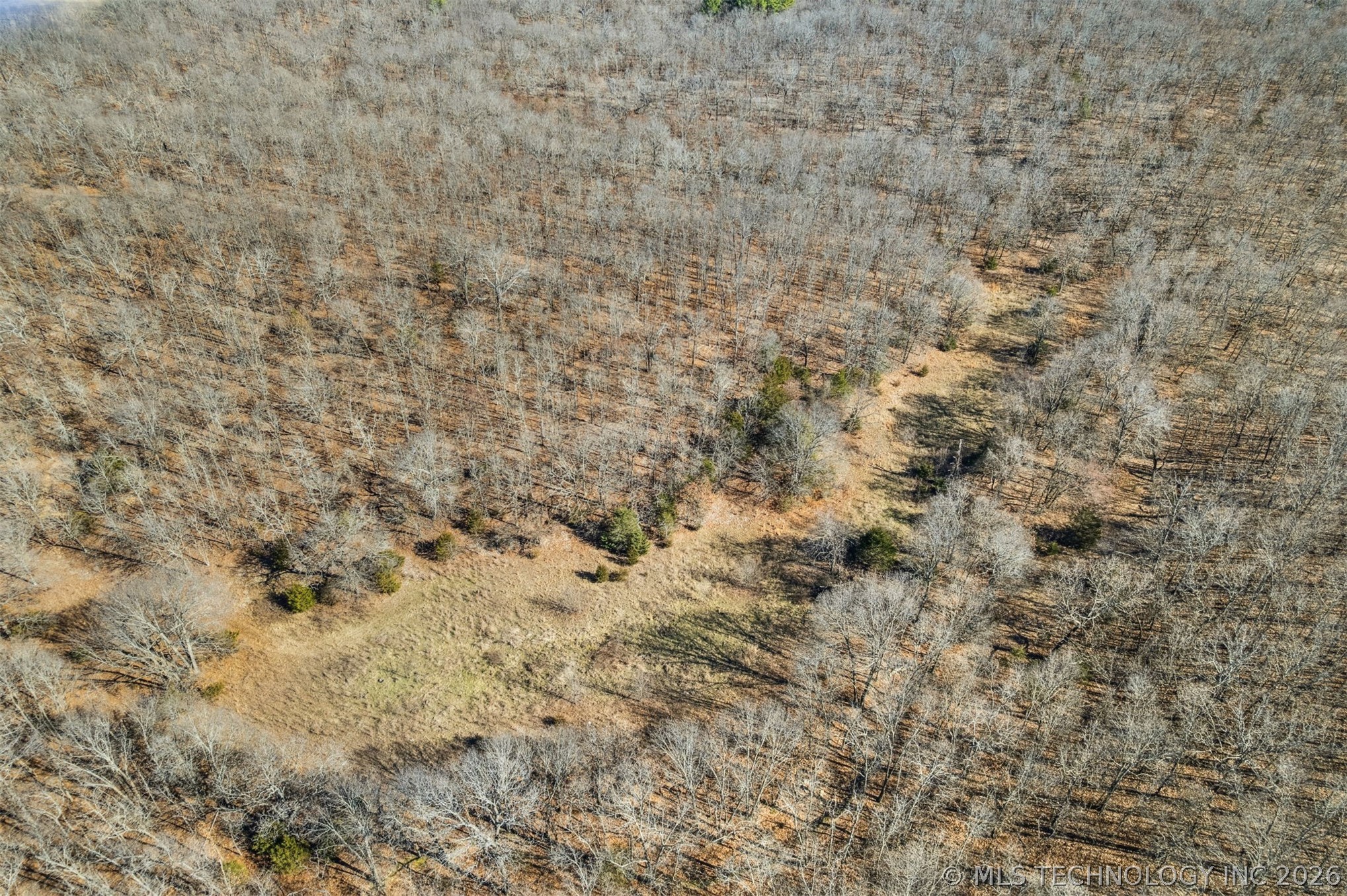 16398 N Fred Smith Road Property Photo 12