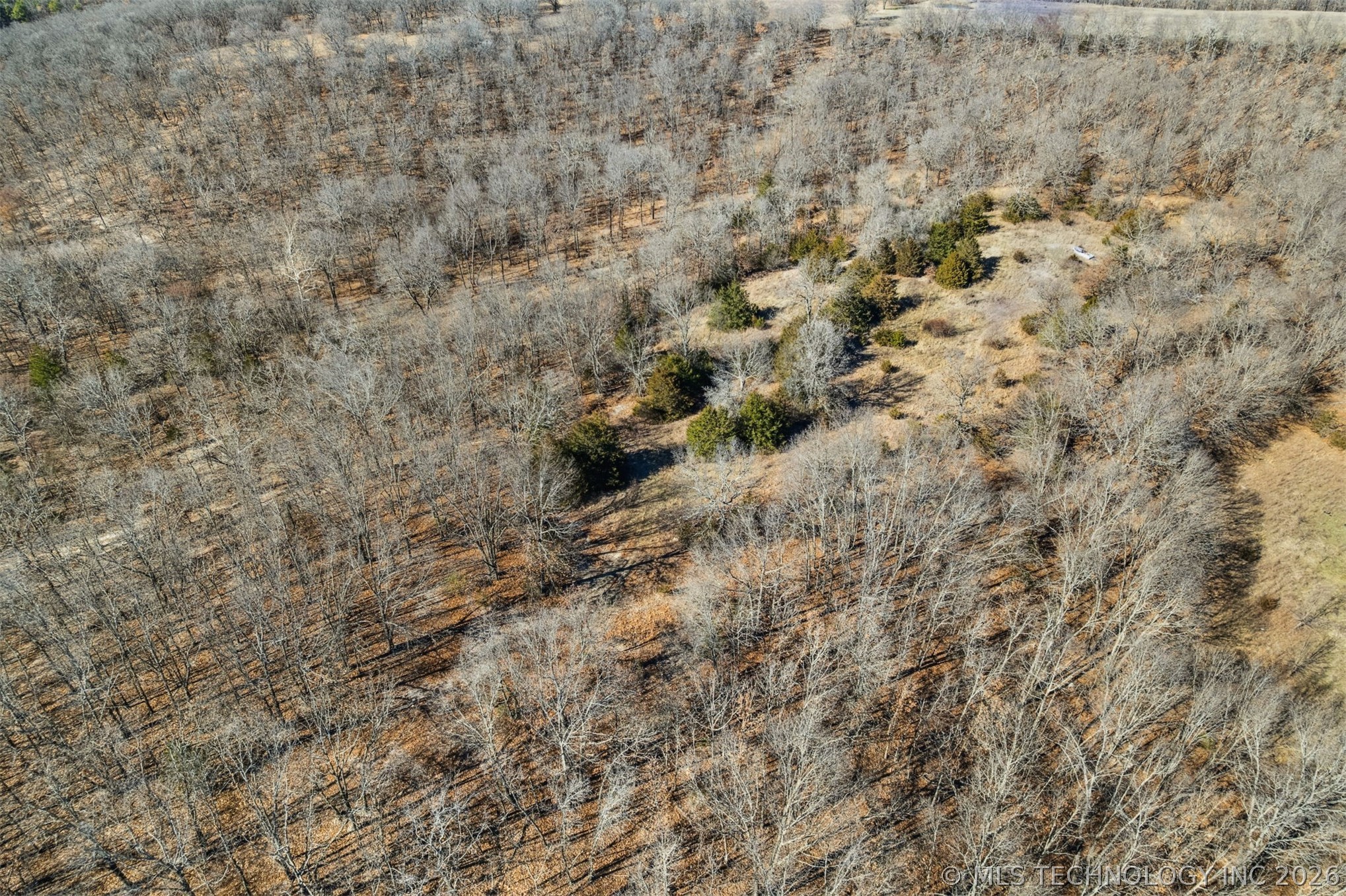 16454 N Fred Smith Road Property Photo 18