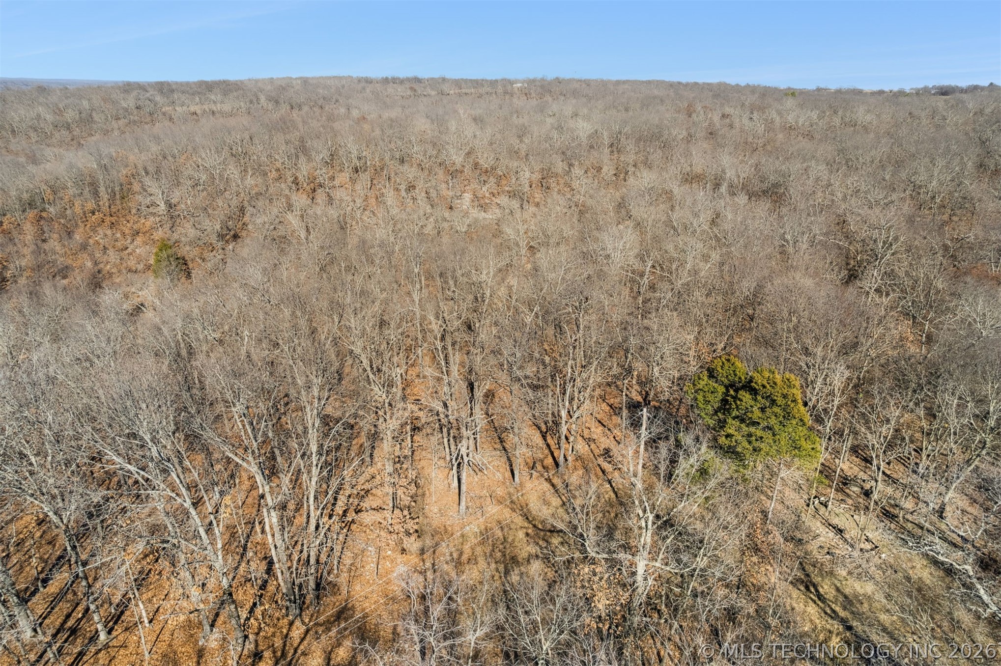 16454 N Fred Smith Road Property Photo 22