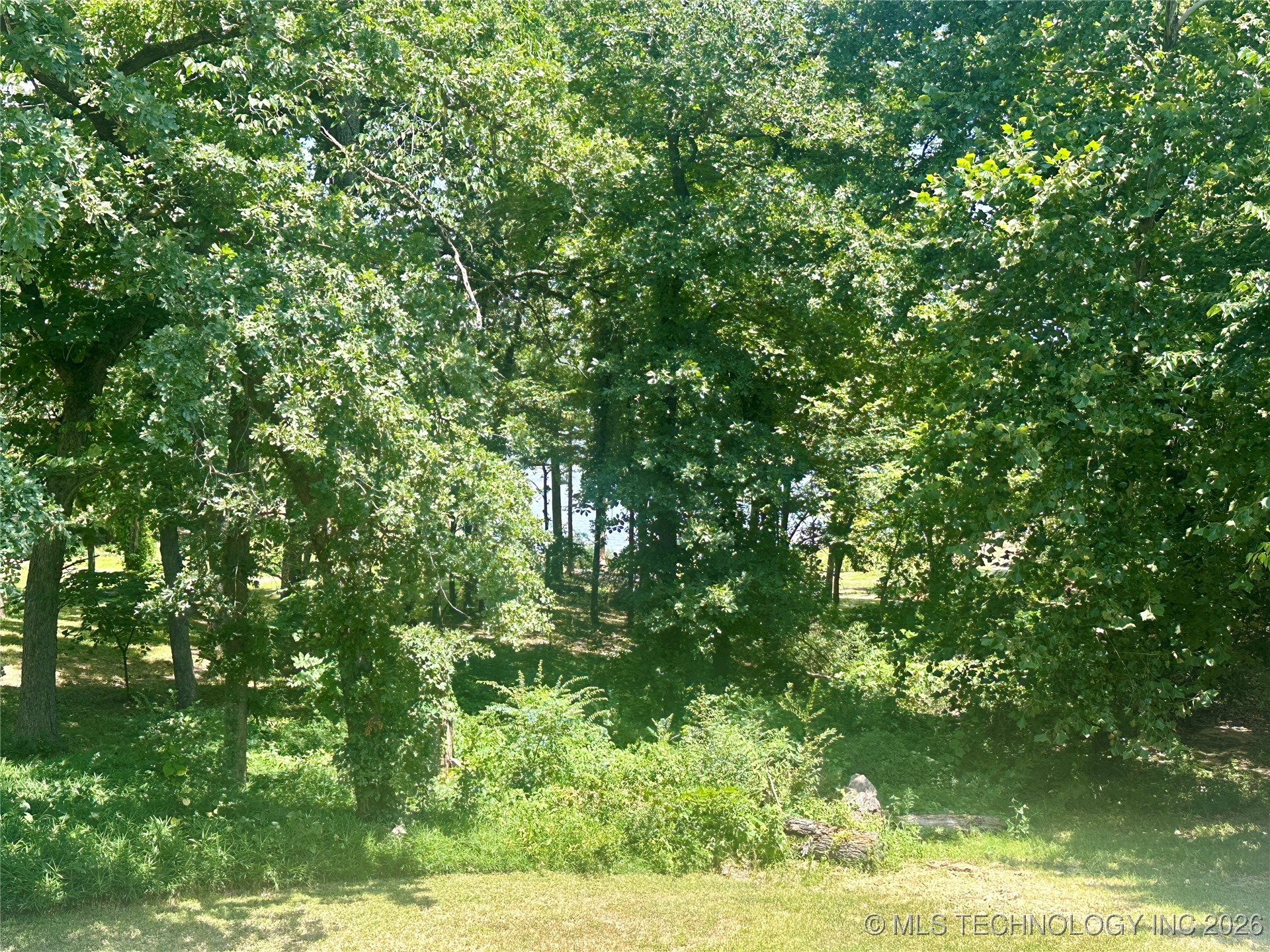 1372 Warren Road Property Photo 28