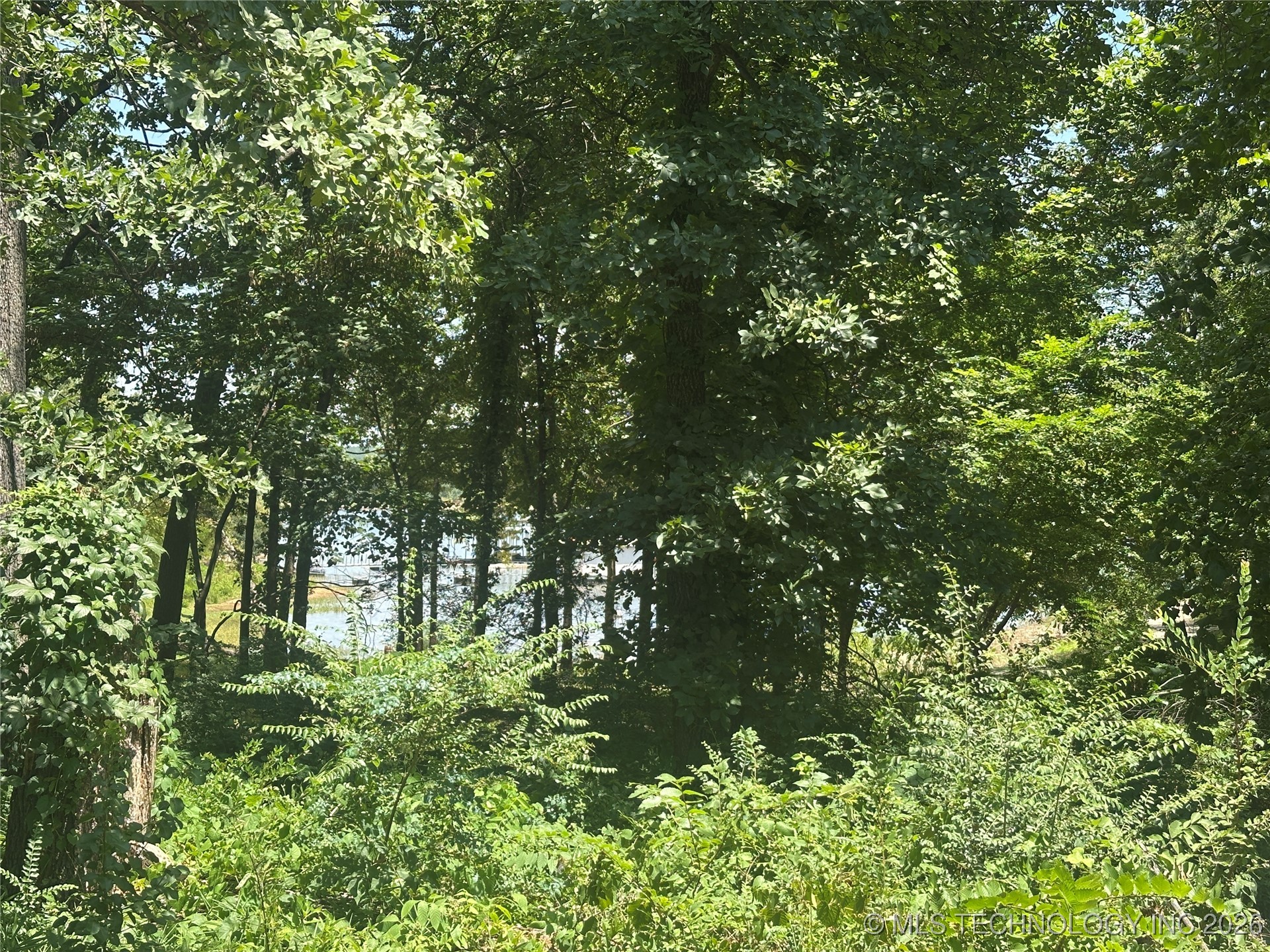 1372 Warren Road Property Photo 30